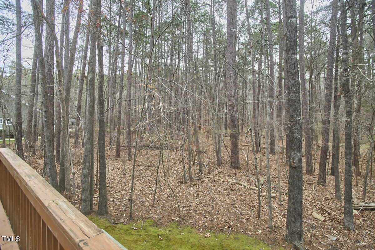 1 Bland Spring Place