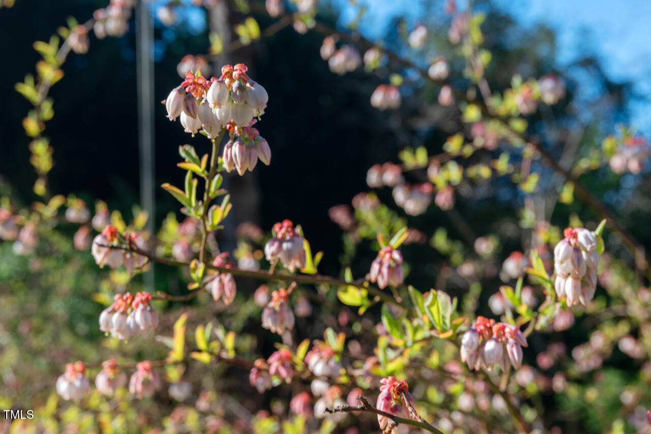 122 W Woodridge Drive