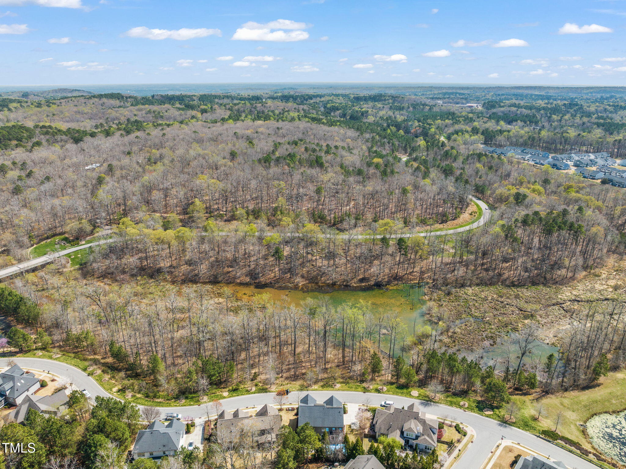 113 Bennett Mountain Trace