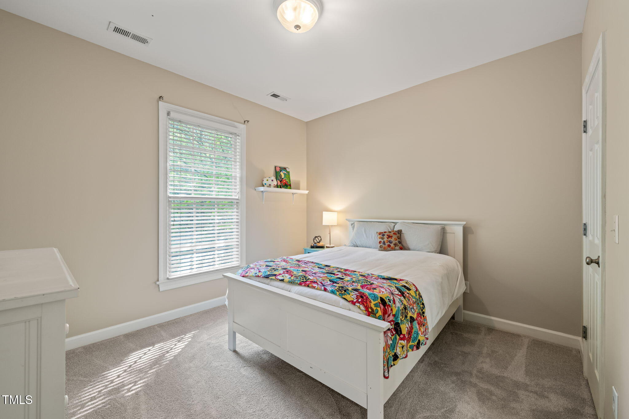 314 Hogan Woods Circle