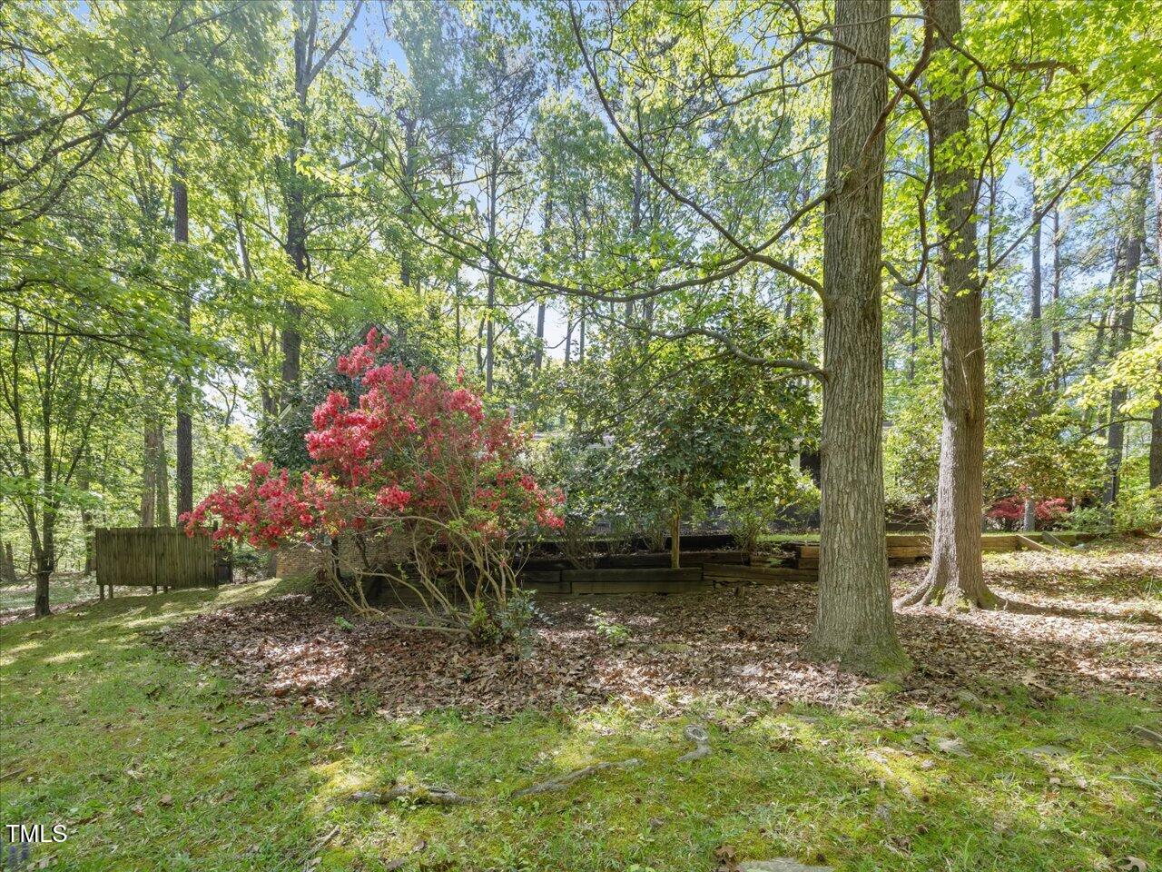 203 Wood Circle