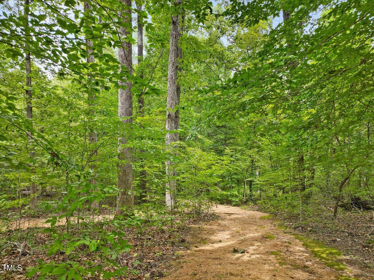 123 Beech Forest Way