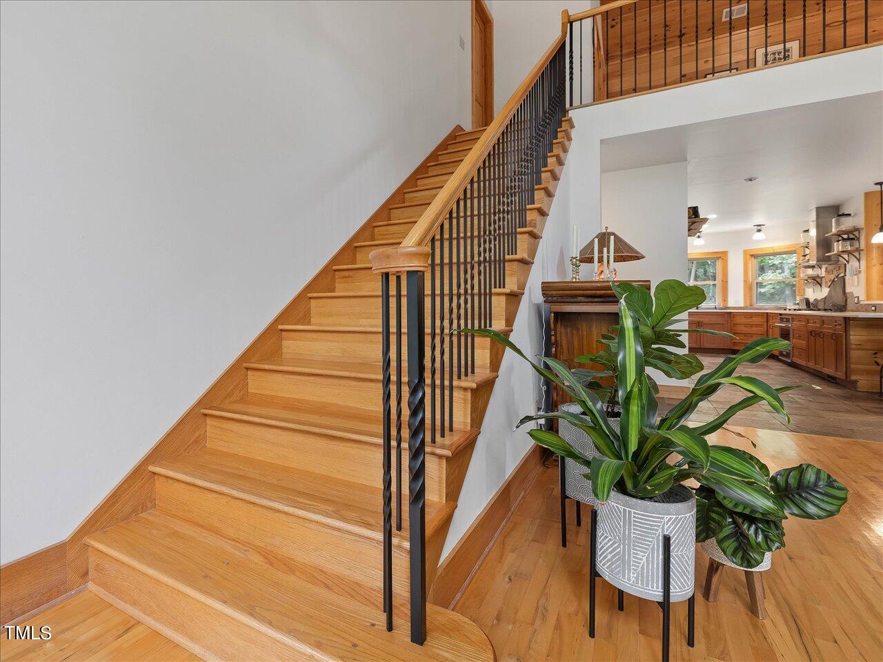 123 Beech Forest Way