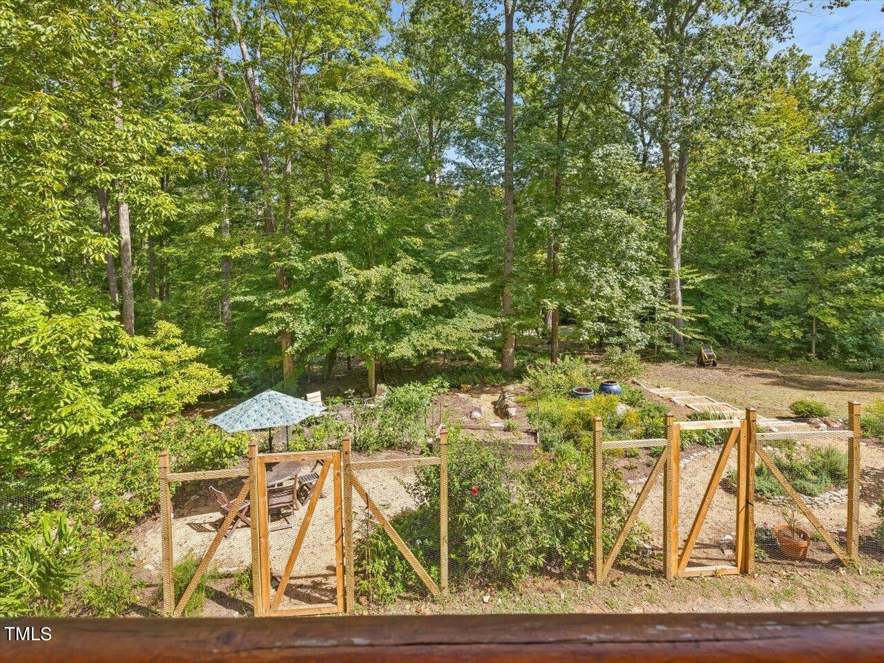 123 Beech Forest Way