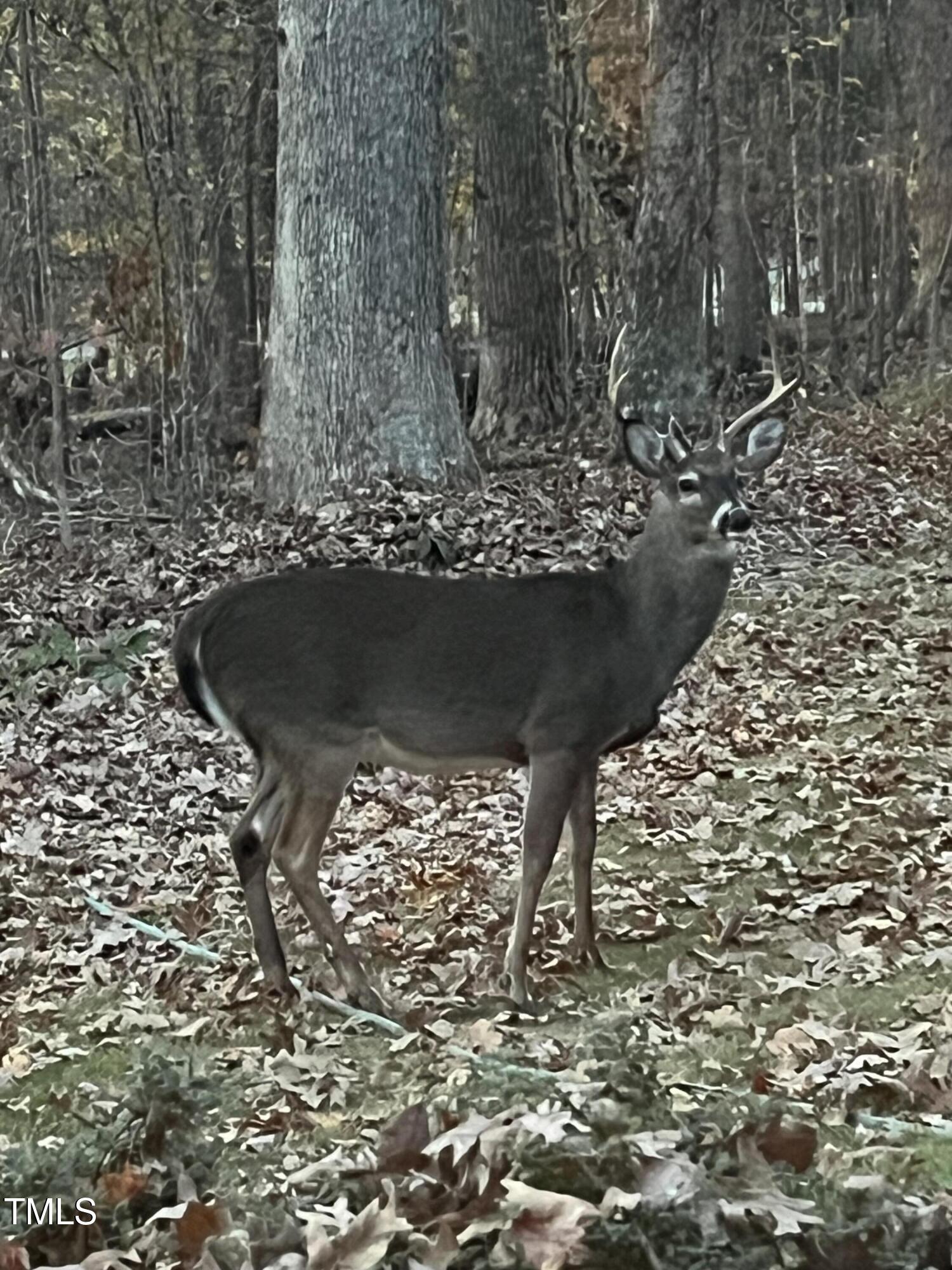 5500 Nc Hwy 86 South