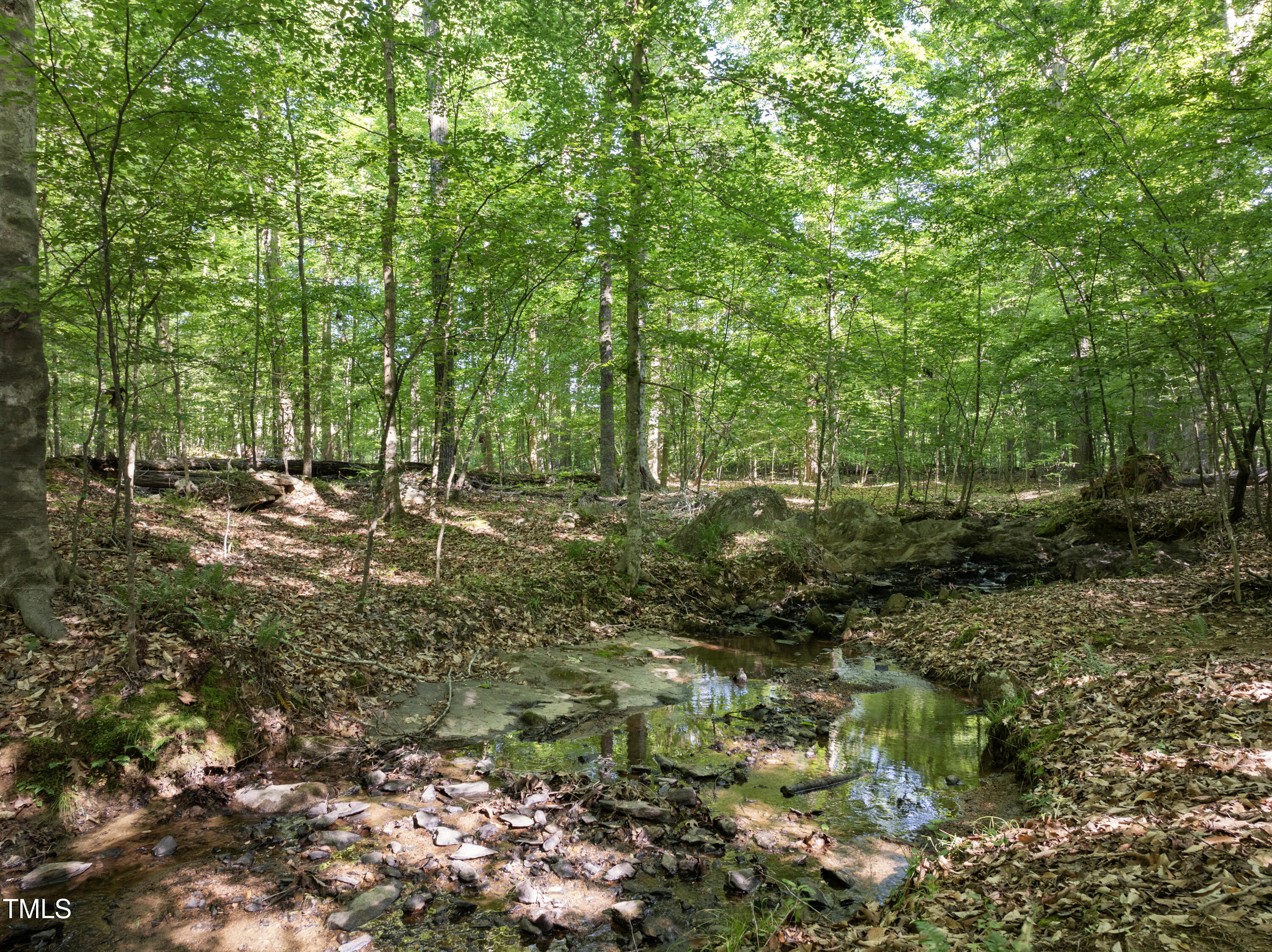 5500 Nc Hwy 86 South