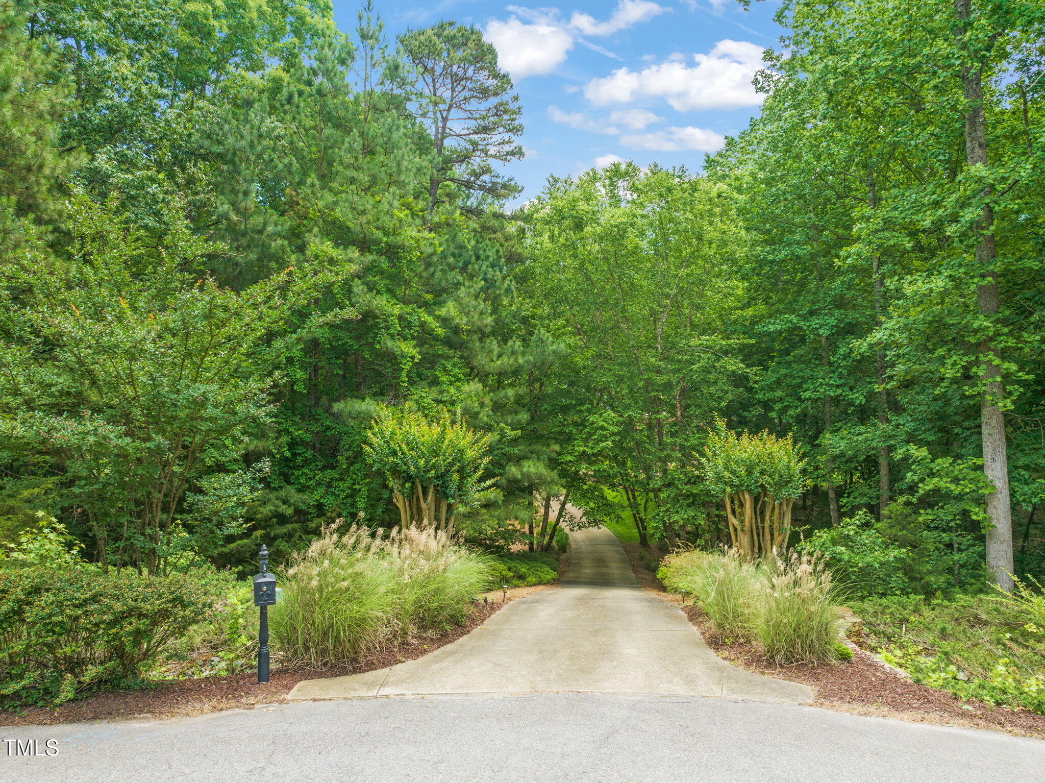 1317 Woodgate Manor Court