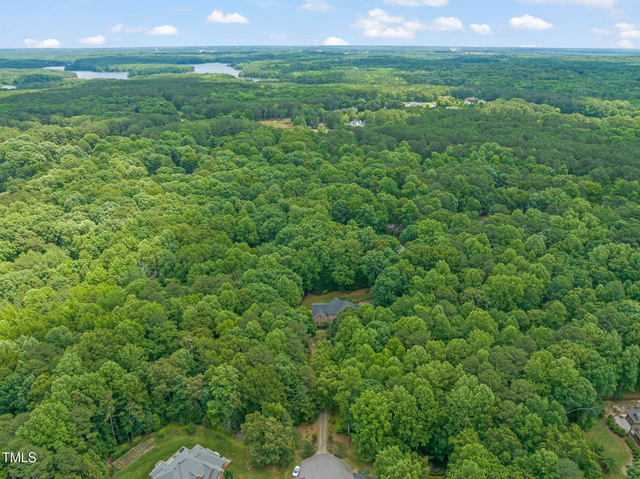 1317 Woodgate Manor Court