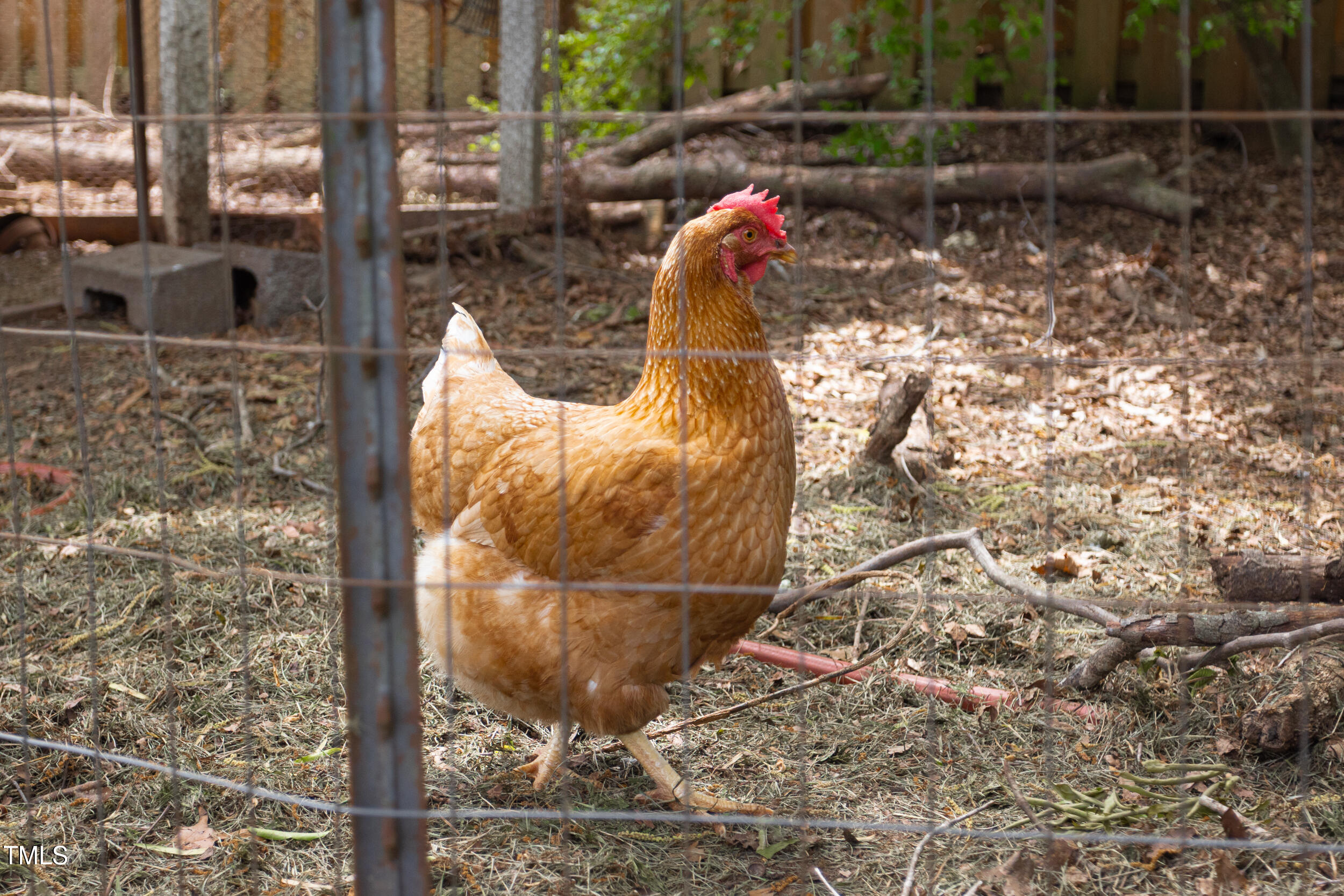 1603 Hermitage Court