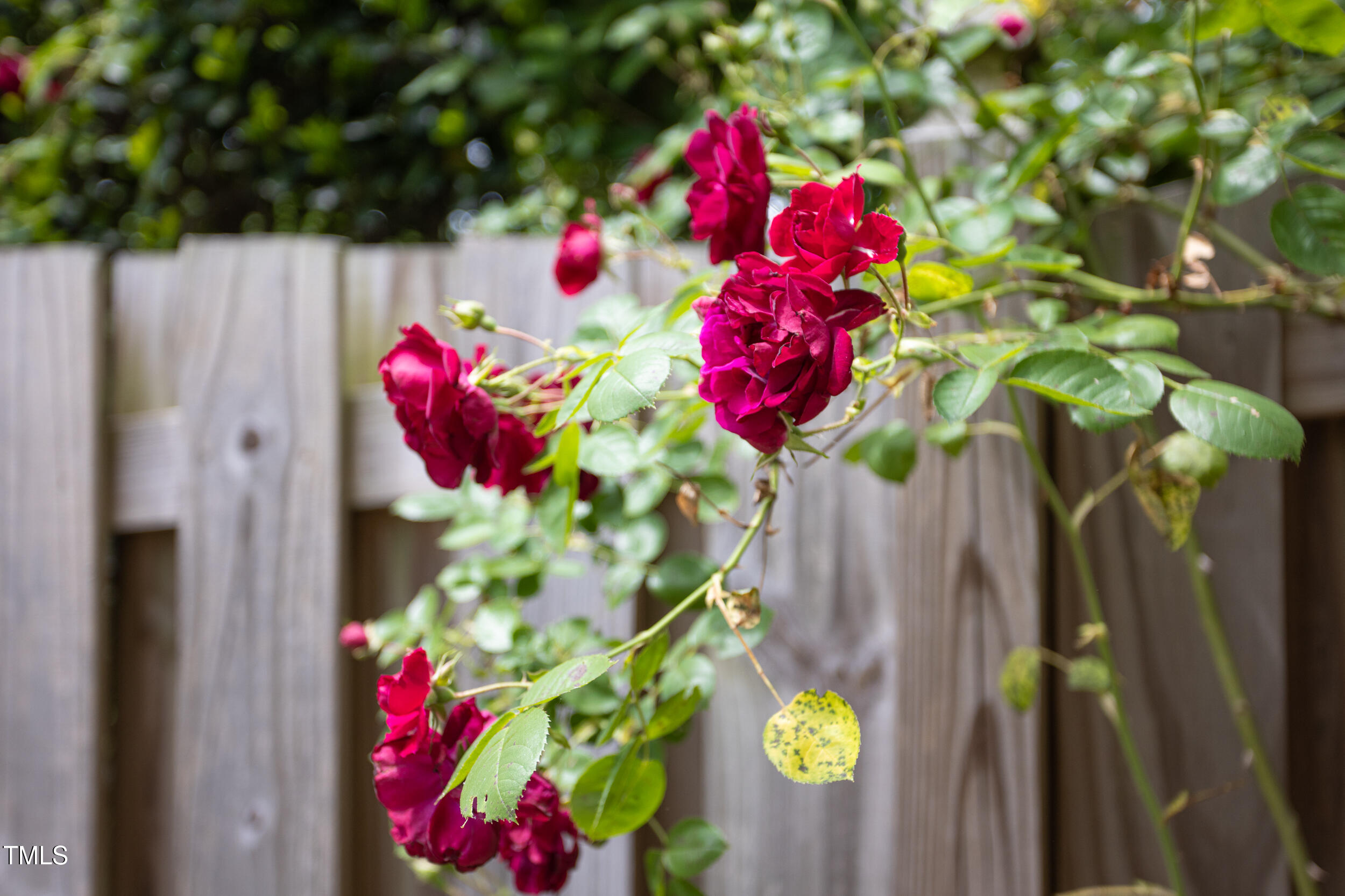 1603 Hermitage Court