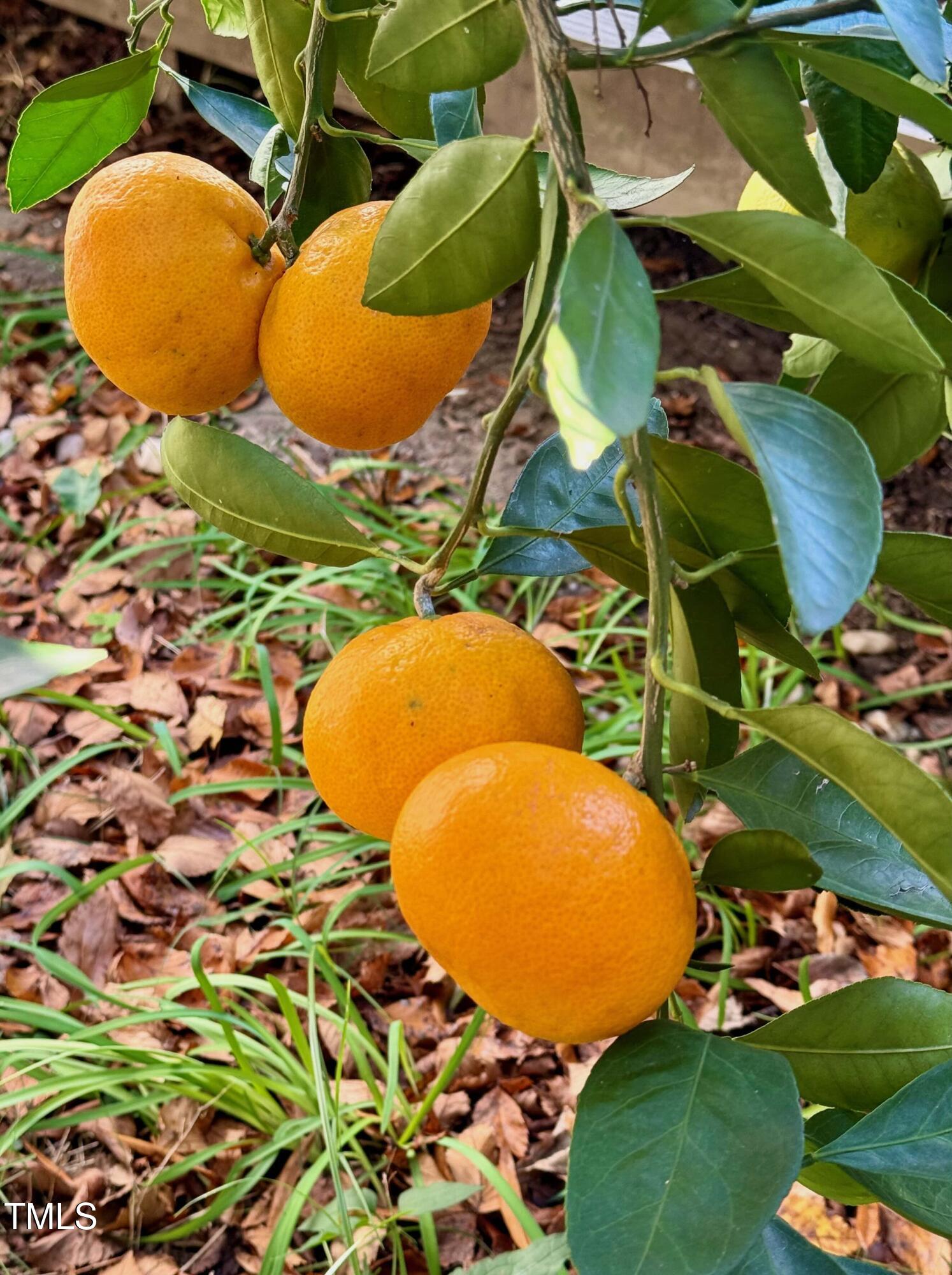 1005 W Club Boulevard