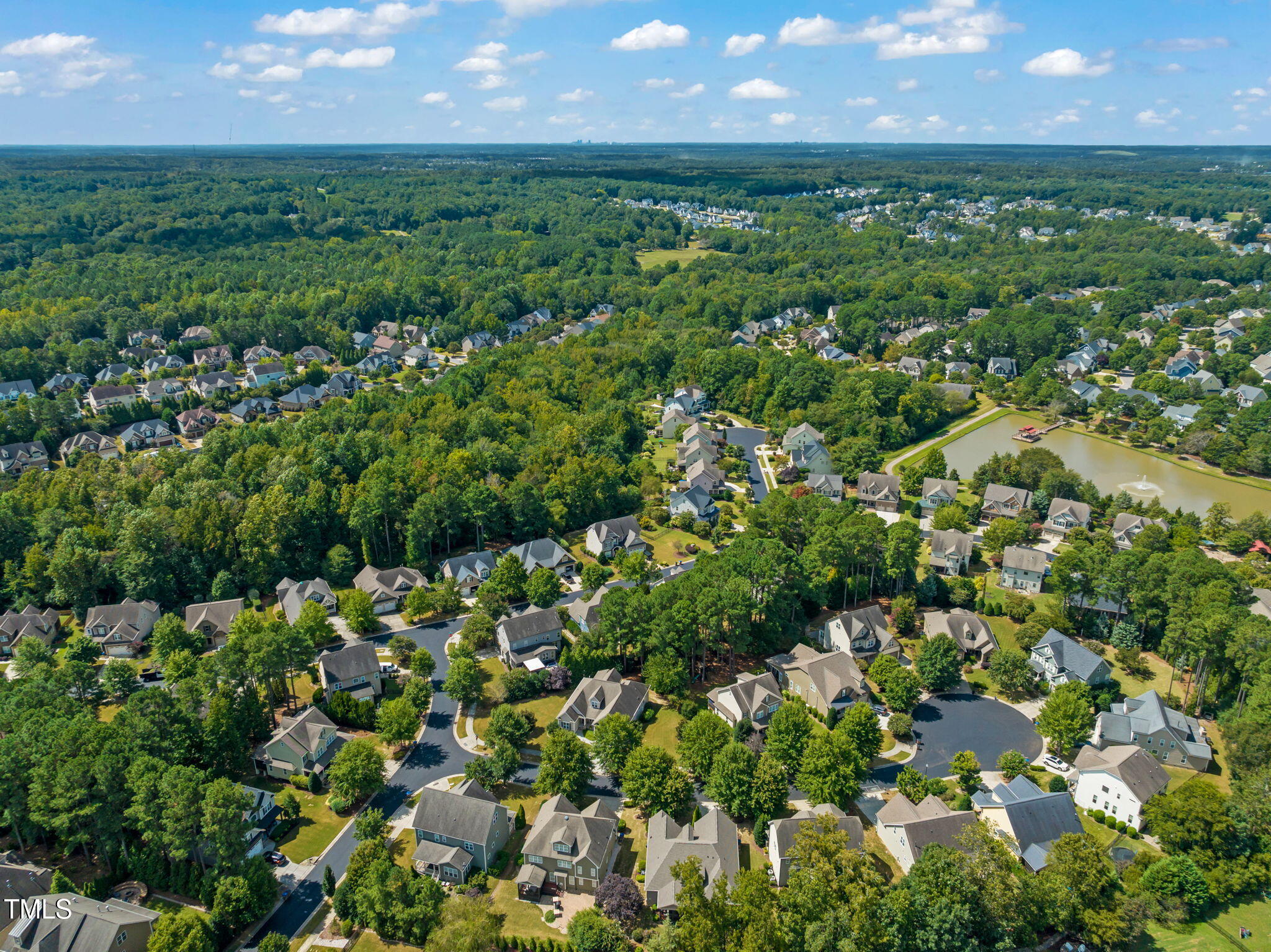 4225 Cats Paw Court