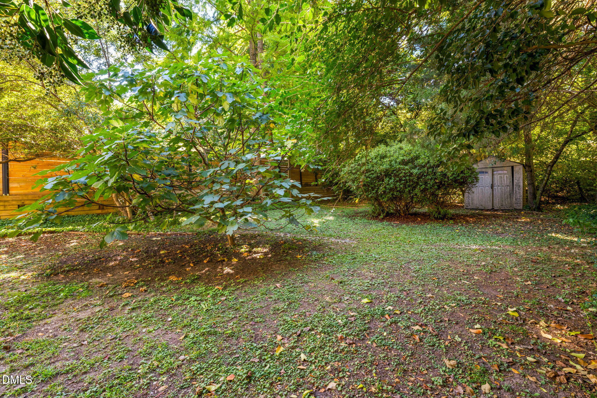 209 Dacian Avenue