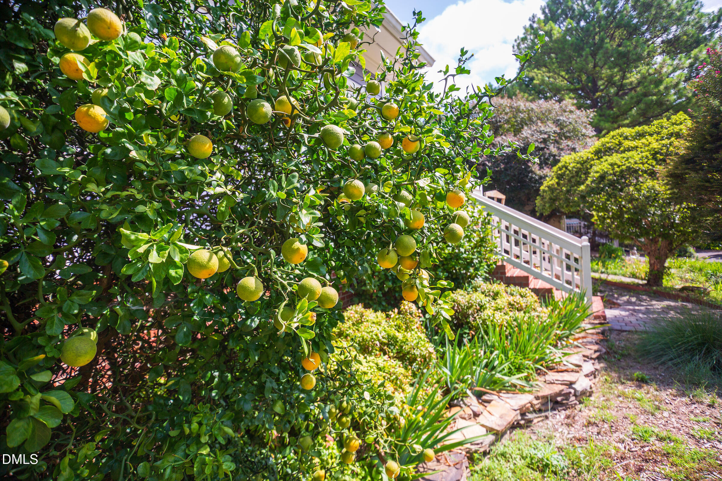 20 Indigo Creek Trail