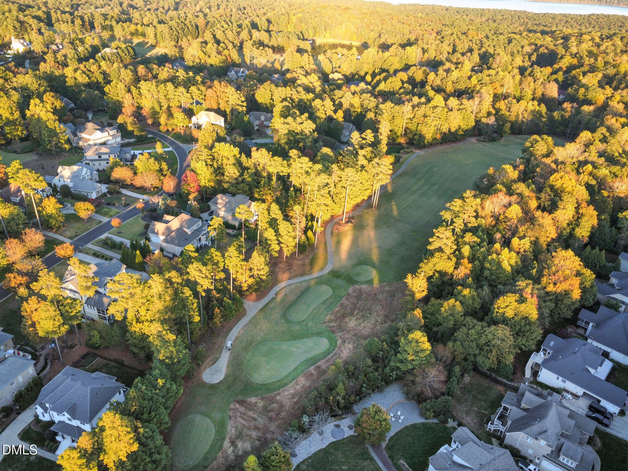 108 Brown Bear, Chapel Hill