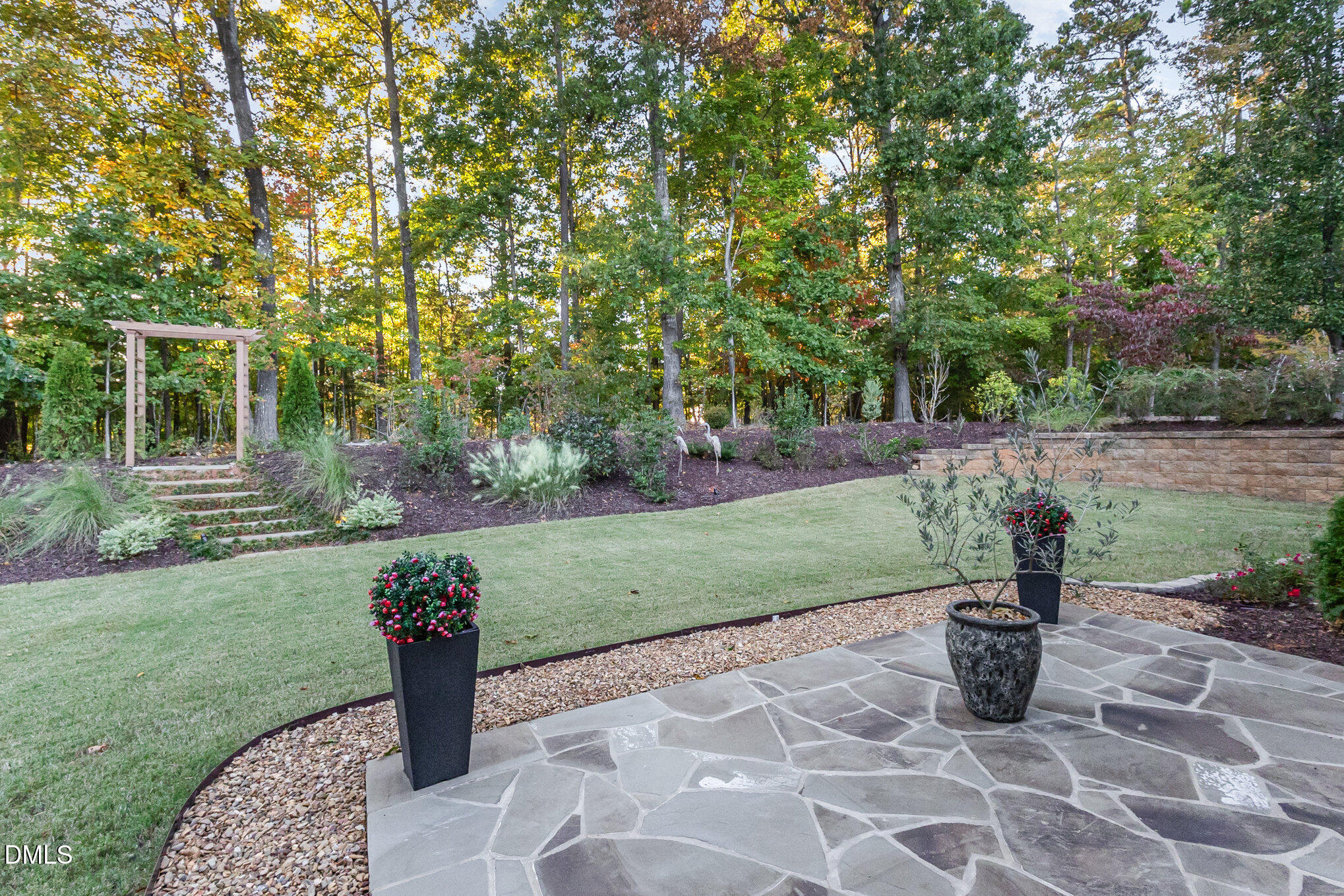 108 Brown Bear, Chapel Hill