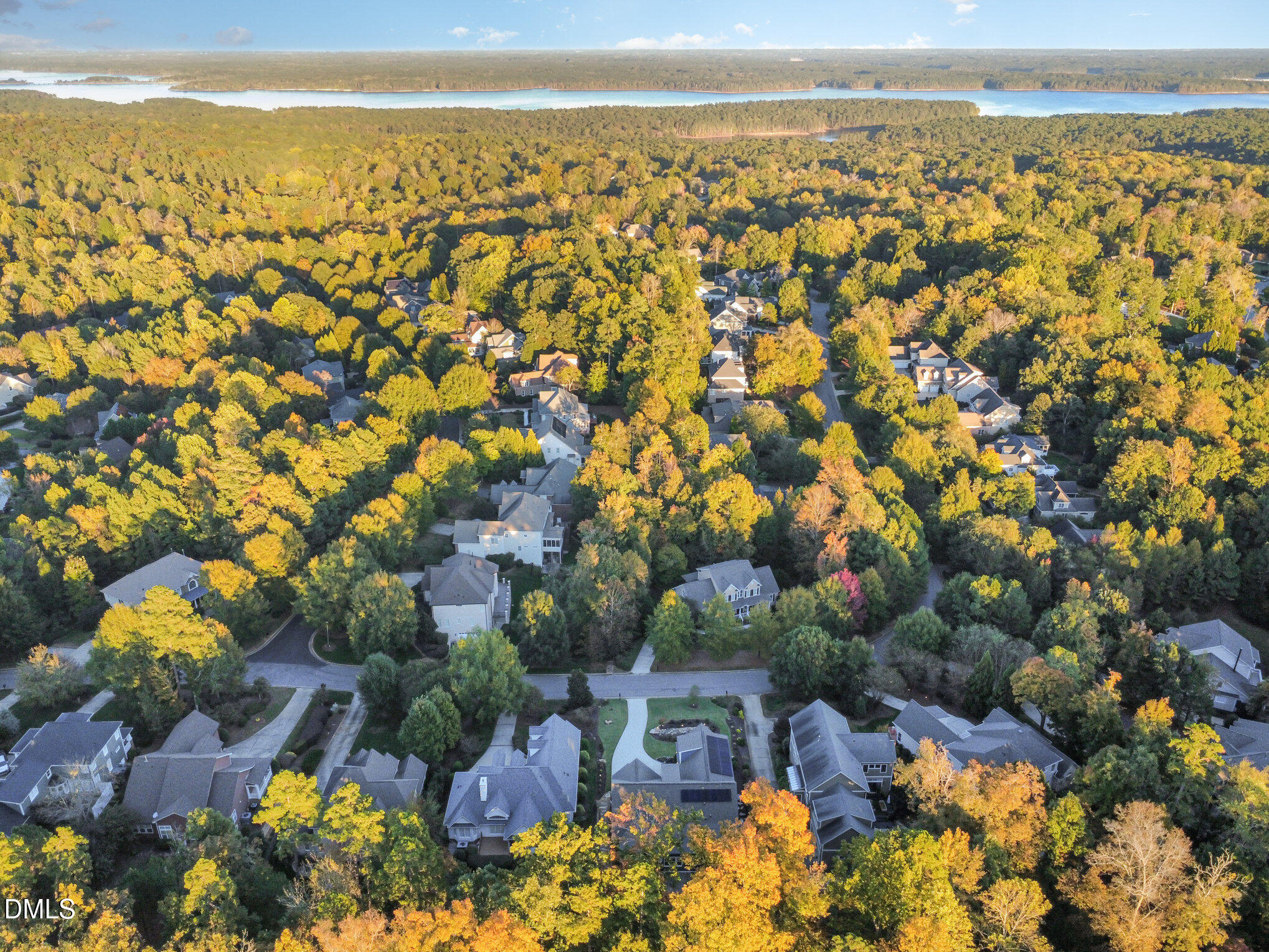 108 Brown Bear, Chapel Hill