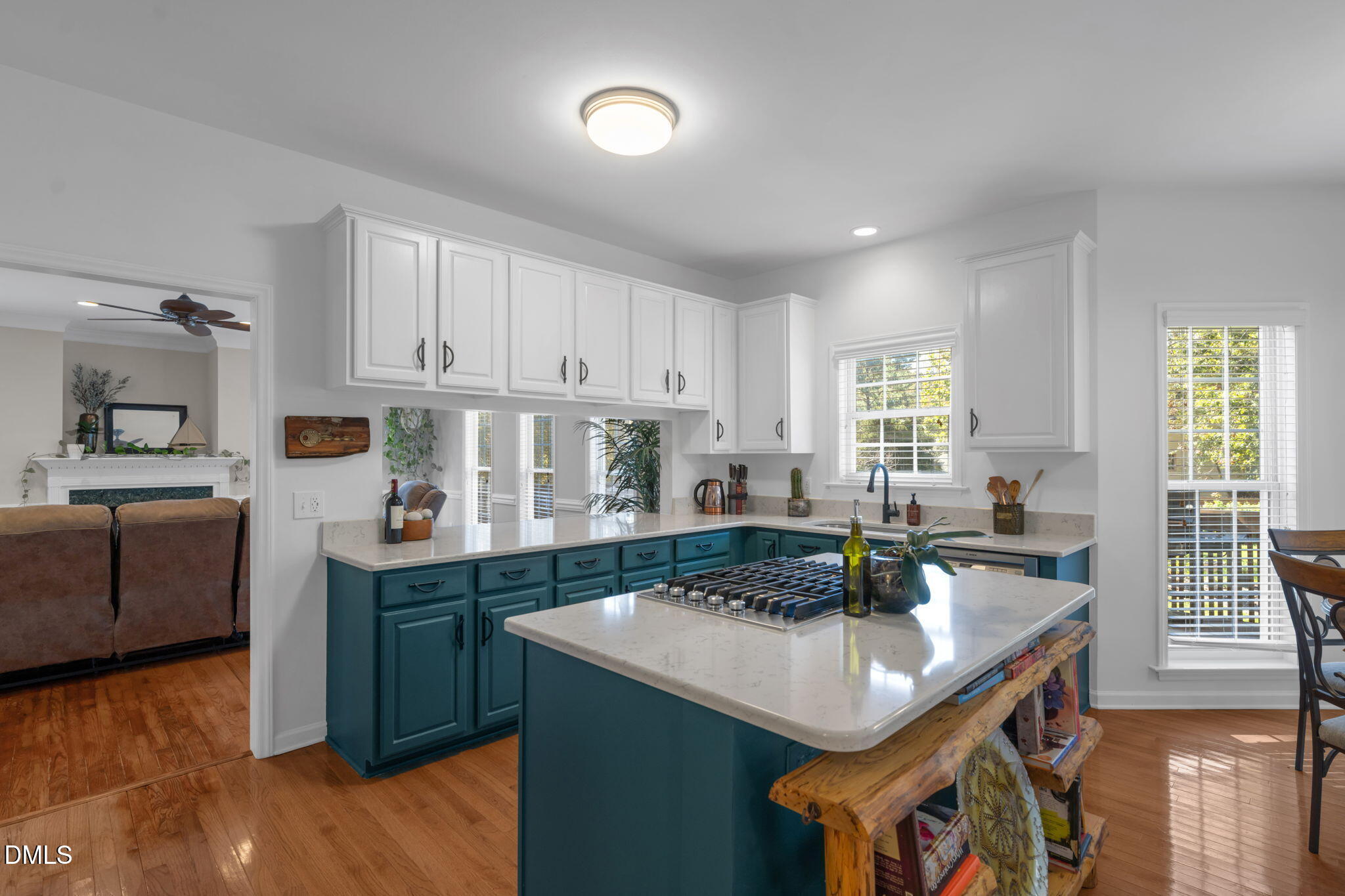 310 Mckinley Street, Durham