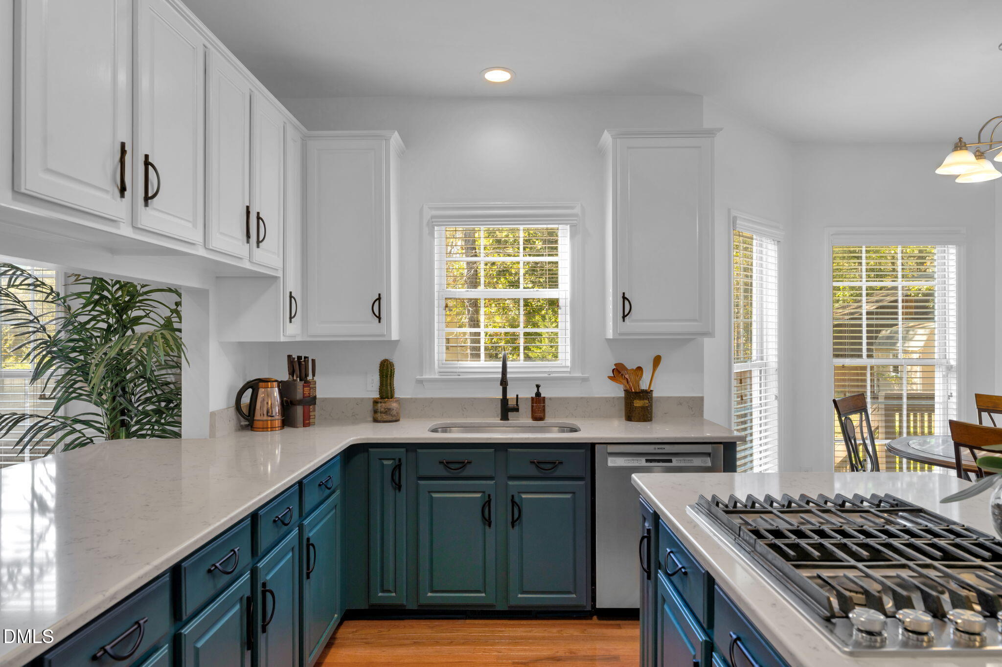 310 Mckinley Street, Durham