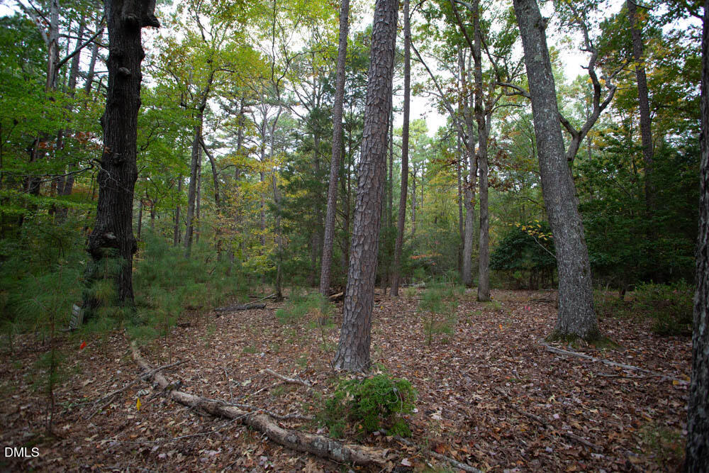 1921 Brassfield Road