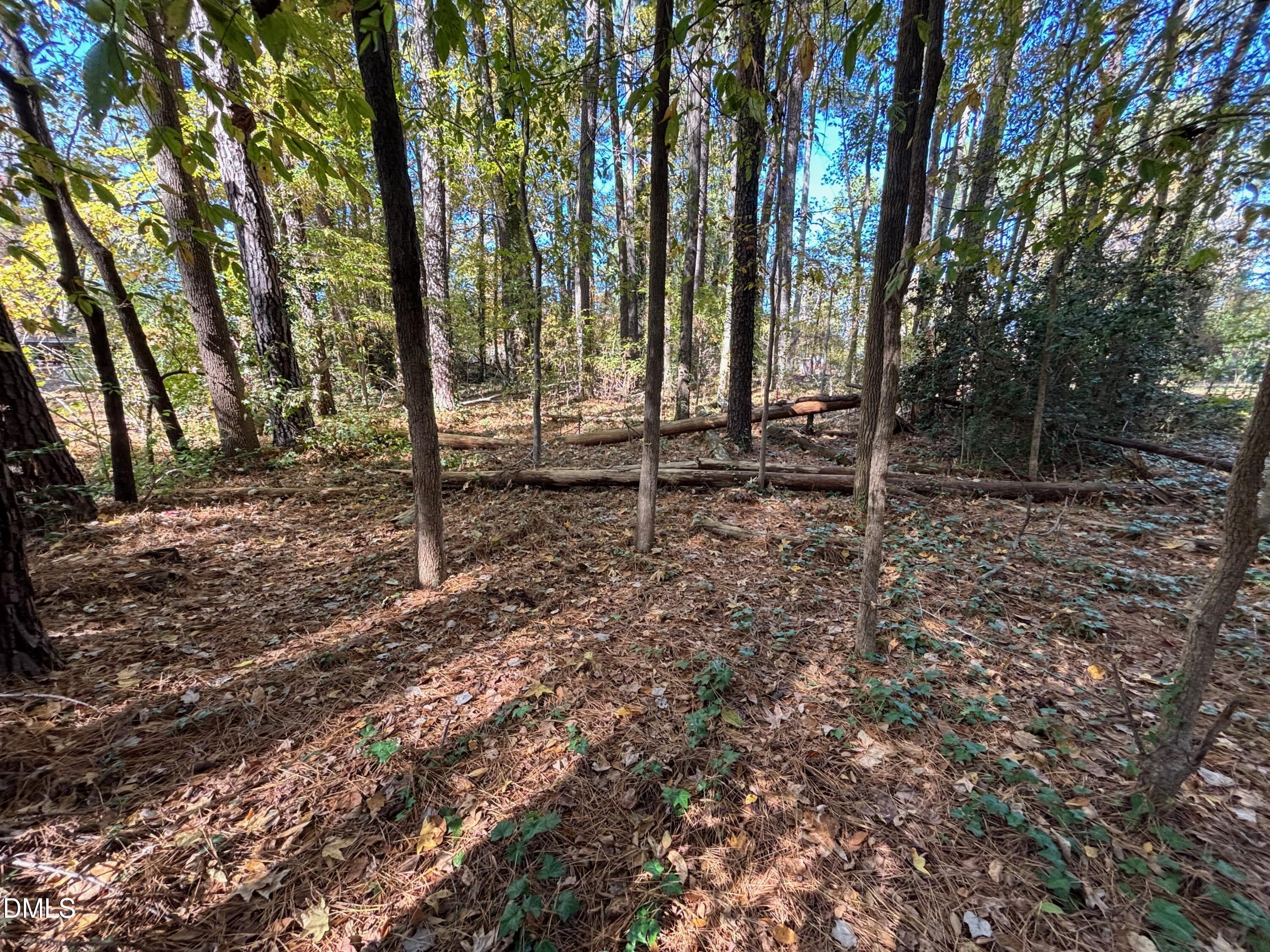 3216 Duke Homestead-Lot B
