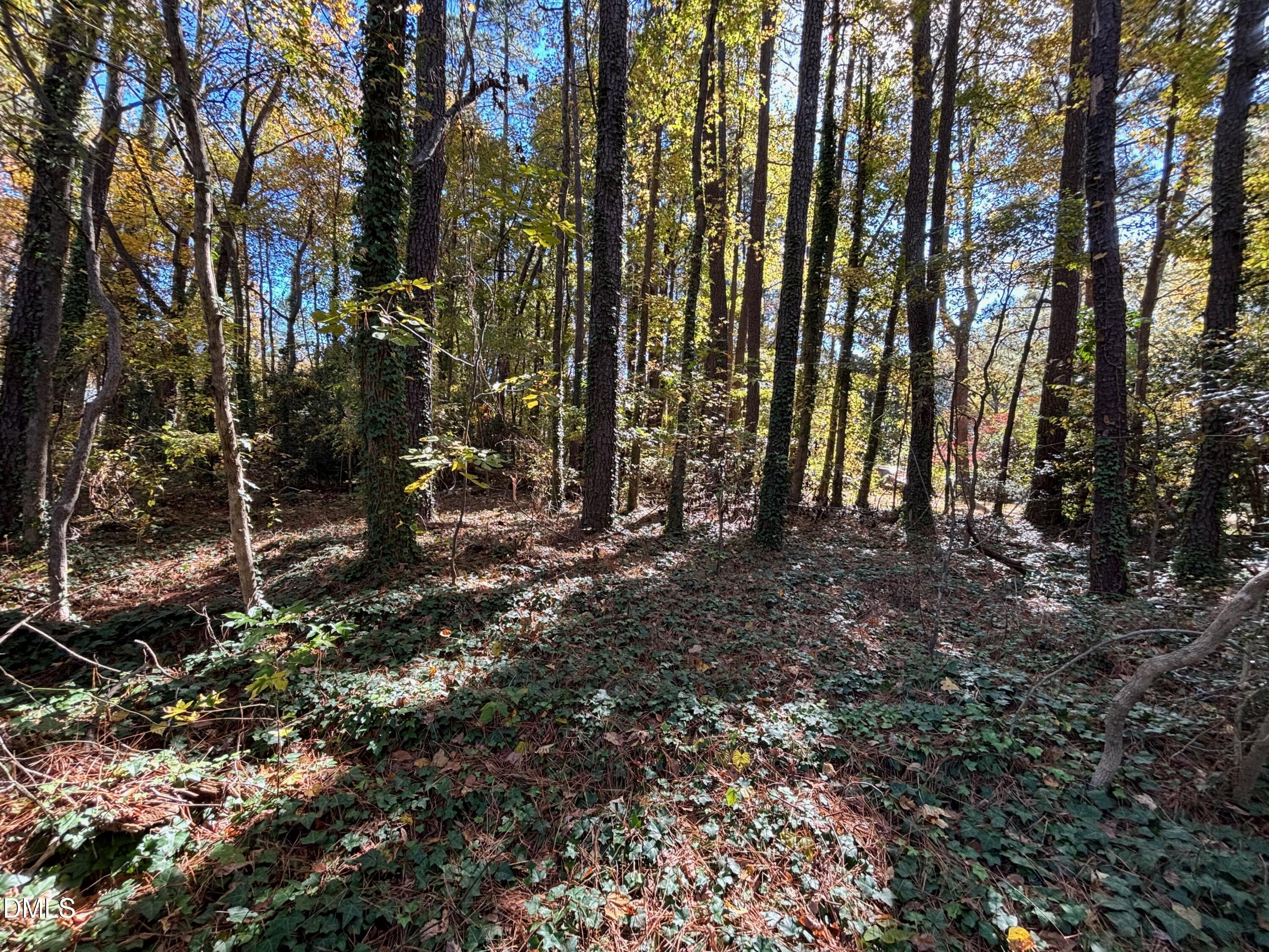 3216 Duke Homestead-Lot A
