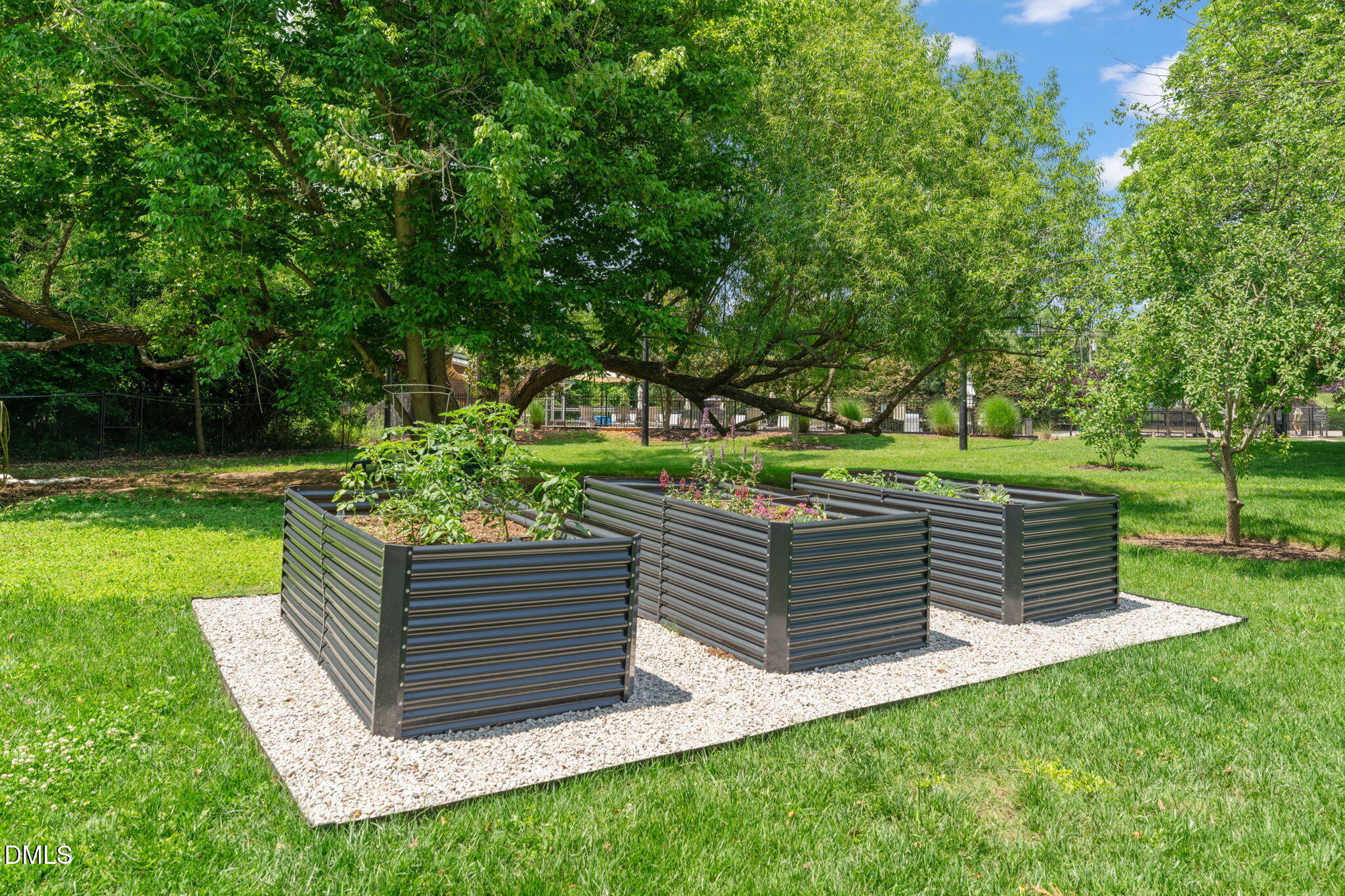 1535 Caraleigh Mills Court # 220