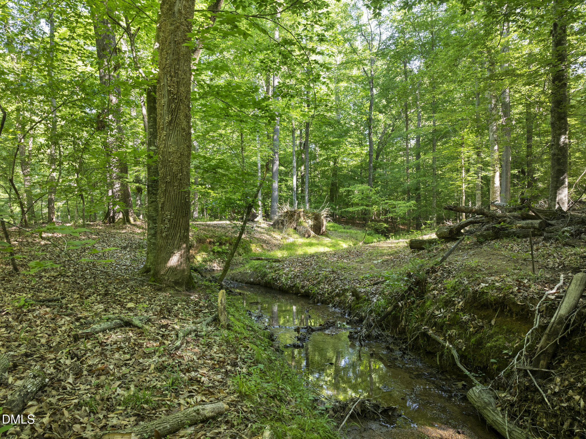 5500 Nc Highway 86