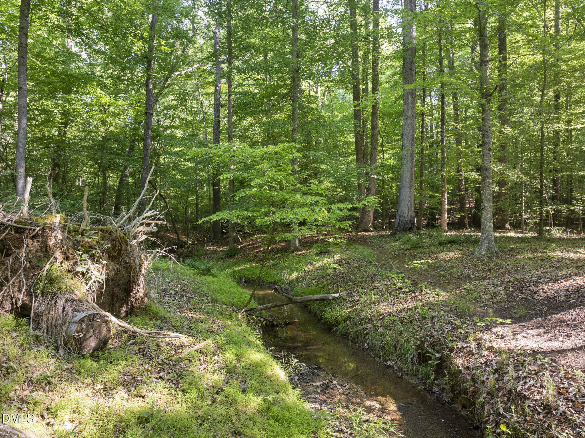 5500 Nc Highway 86