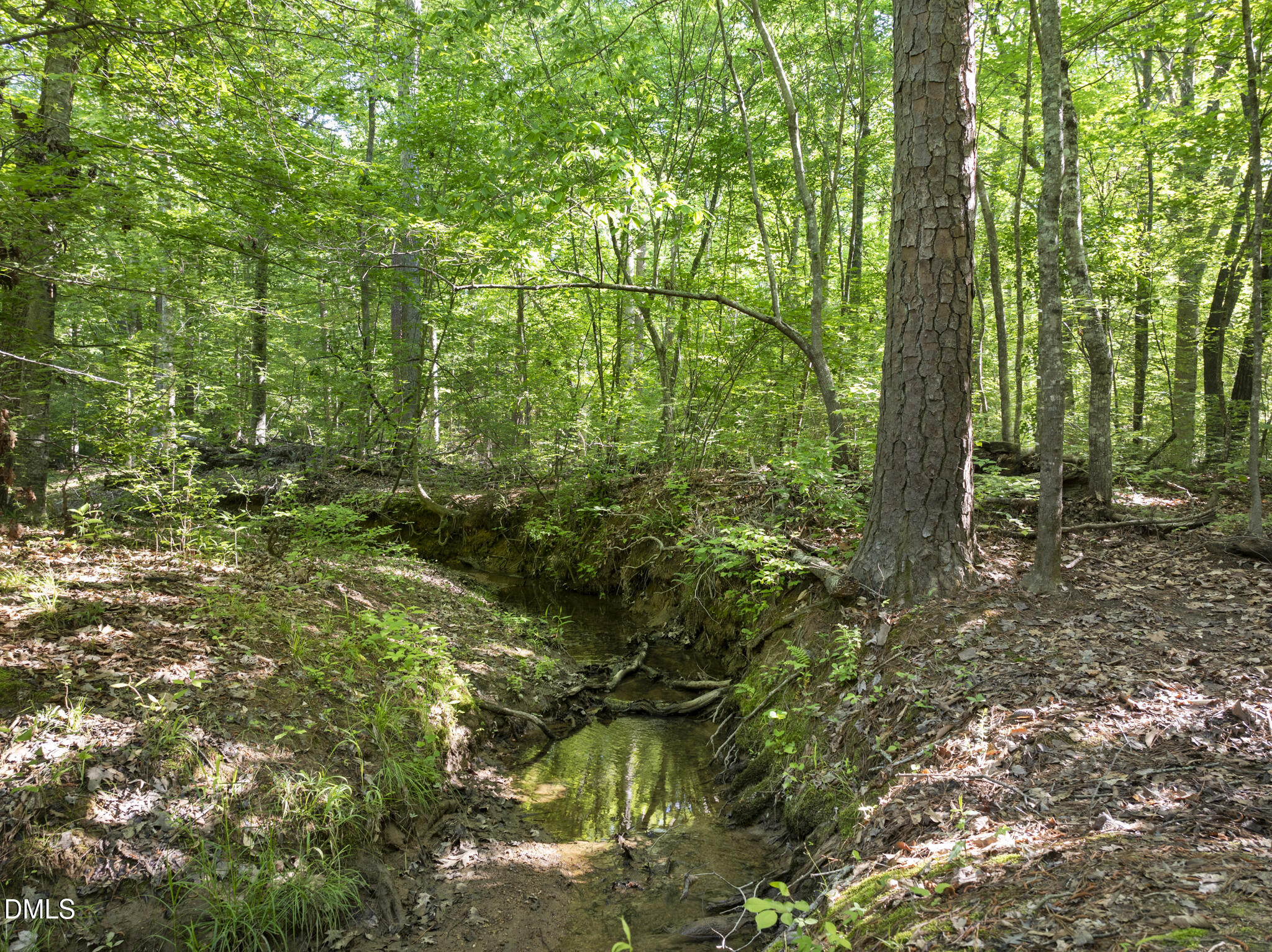 5500 Nc Highway 86