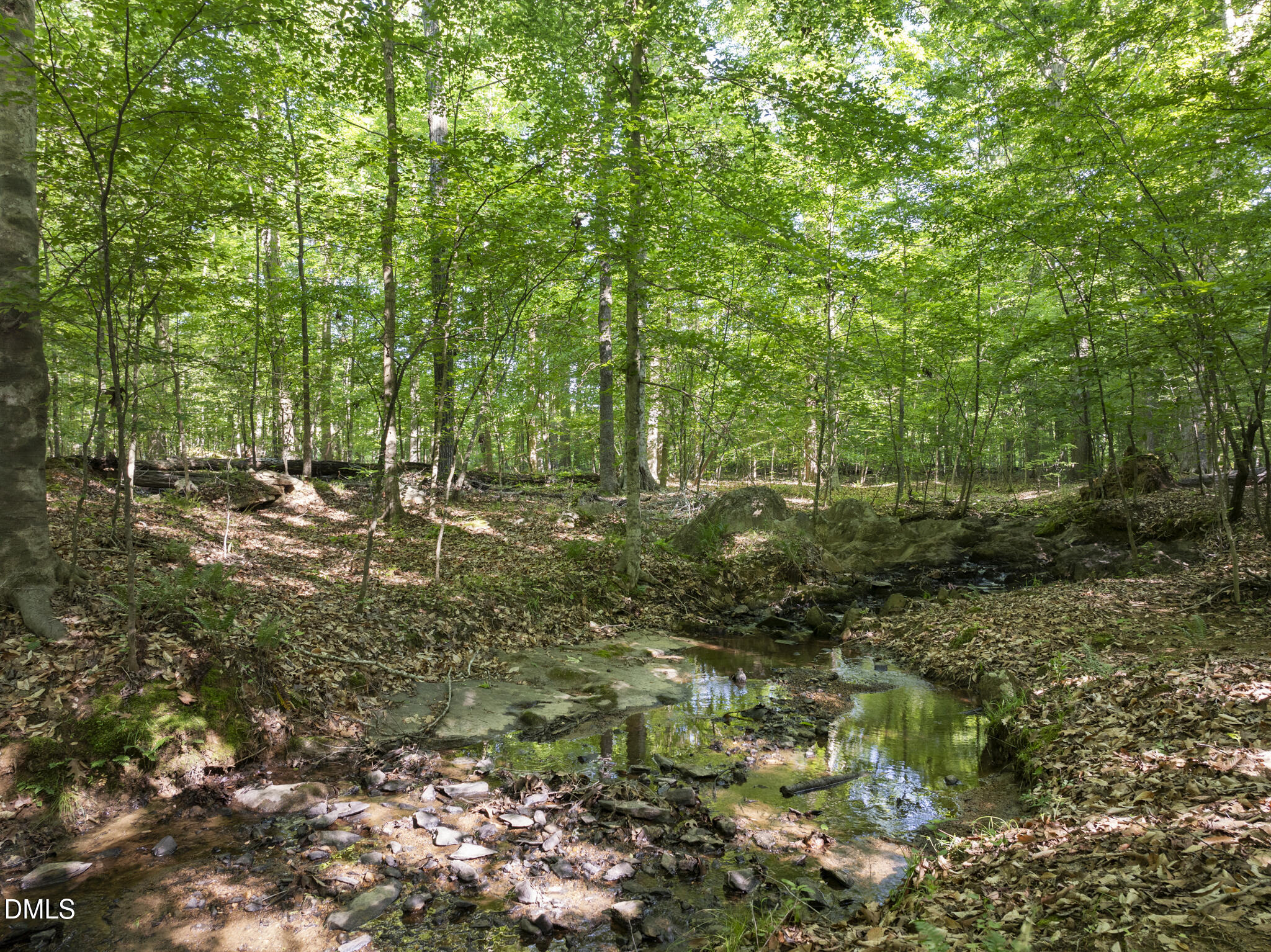 5500 Nc Highway 86