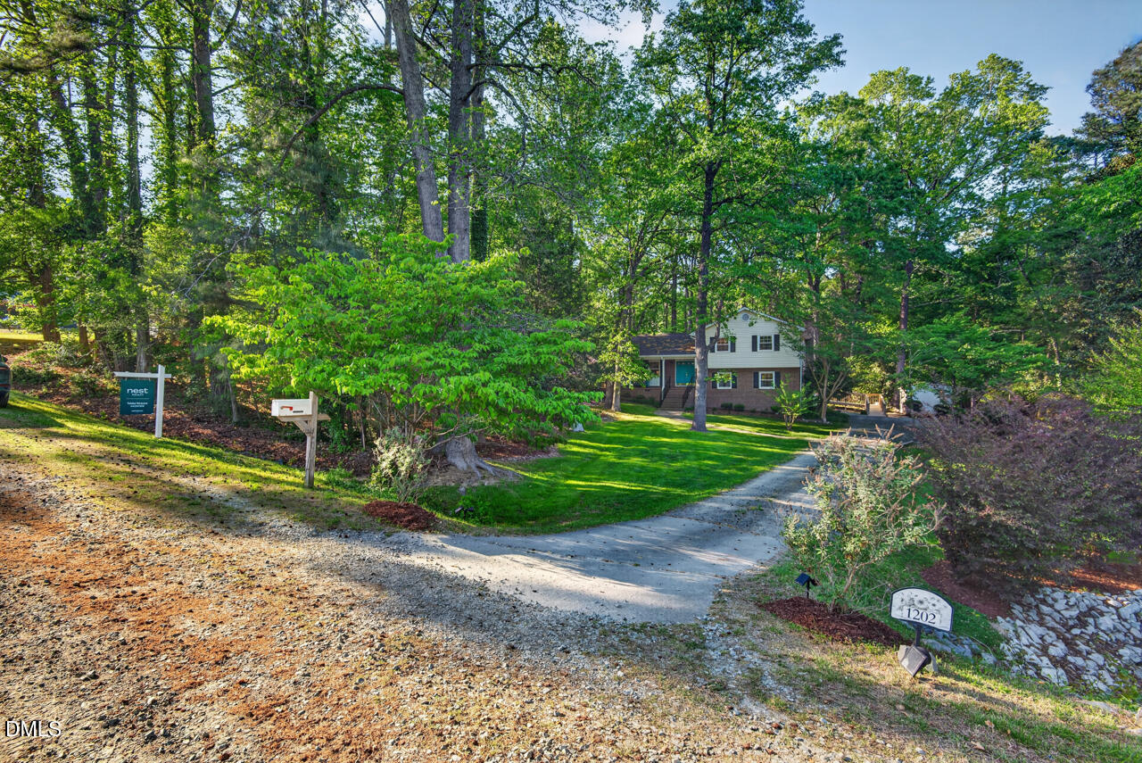 1202 Cassandra Drive