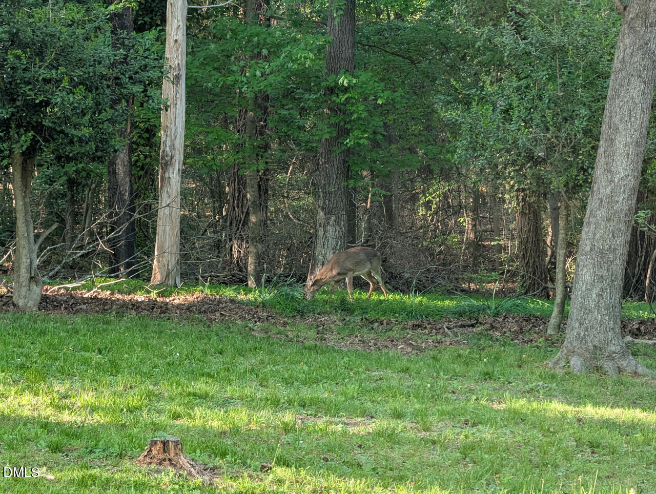 1202 Cassandra Drive