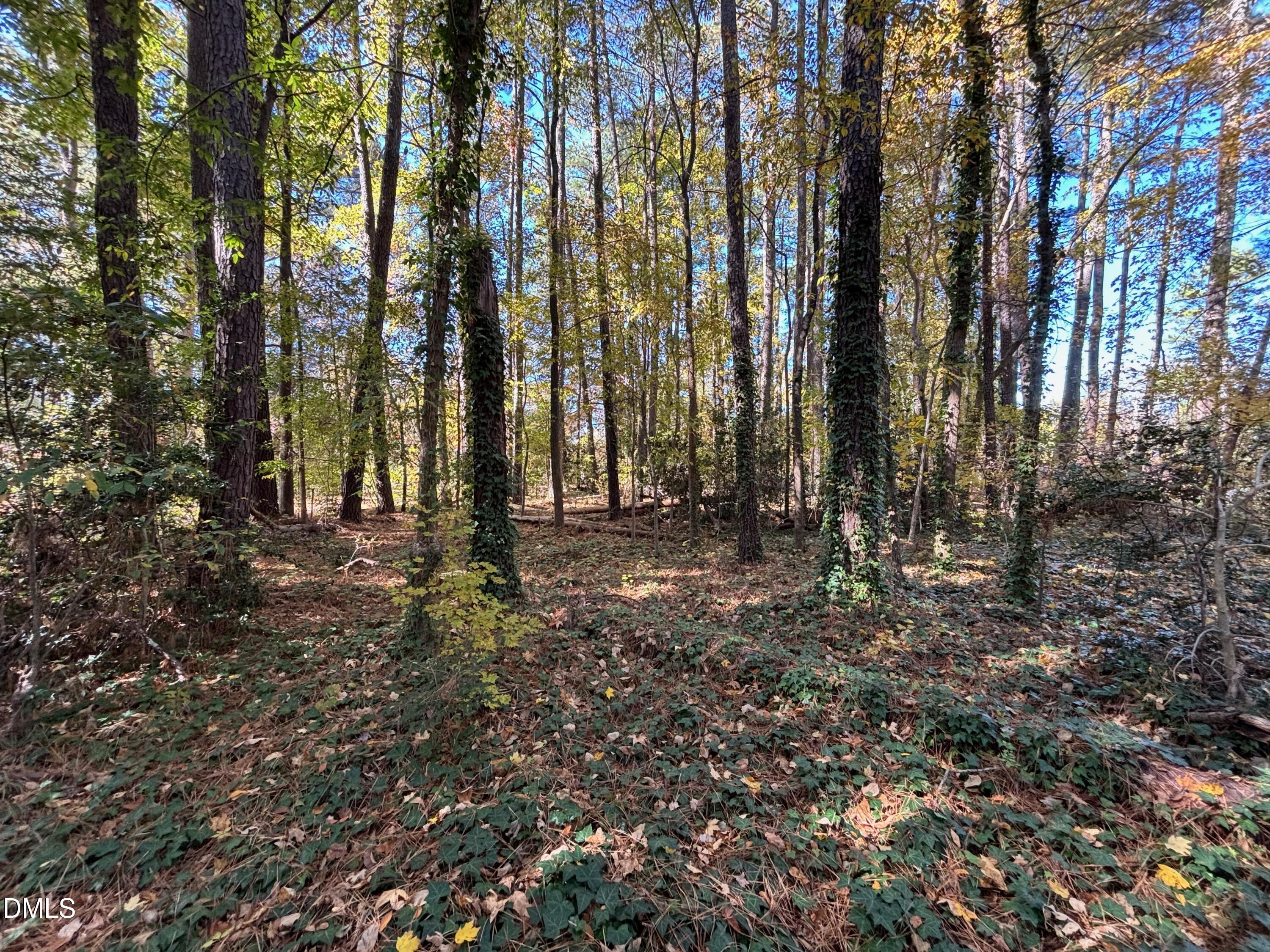 3216 Duke Homestead Road
