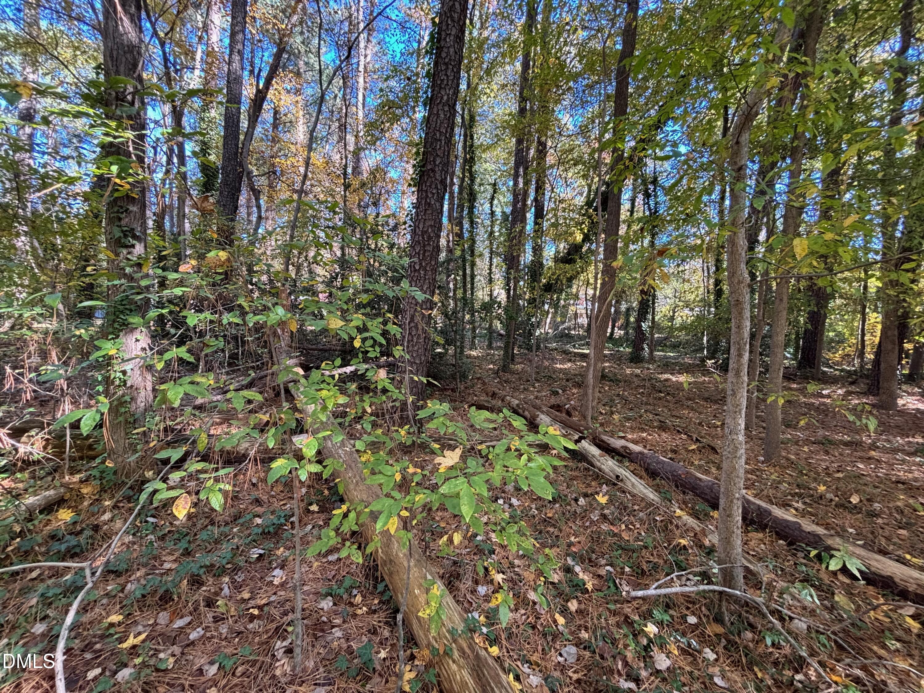 3216 Duke Homestead Road