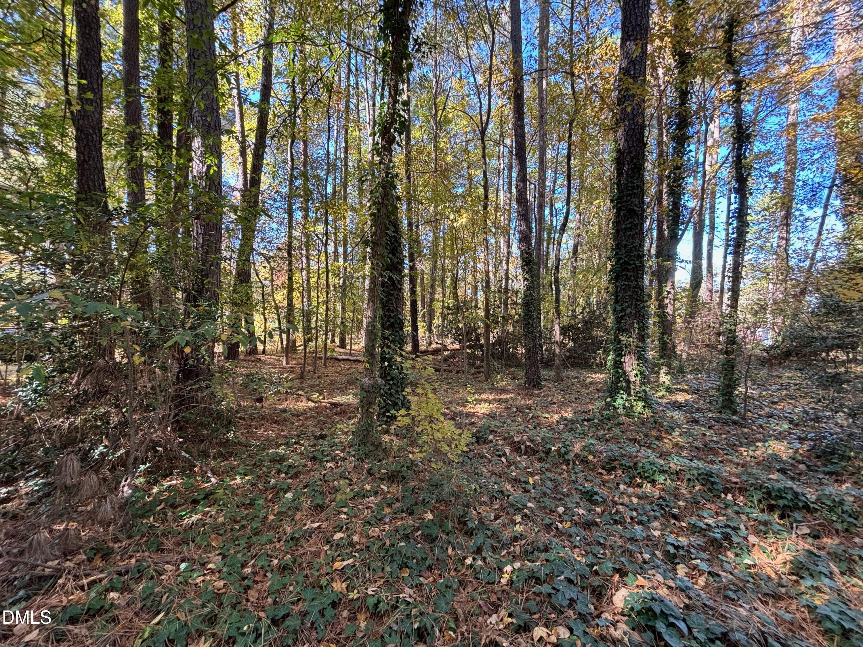 3216 Duke Homestead Road