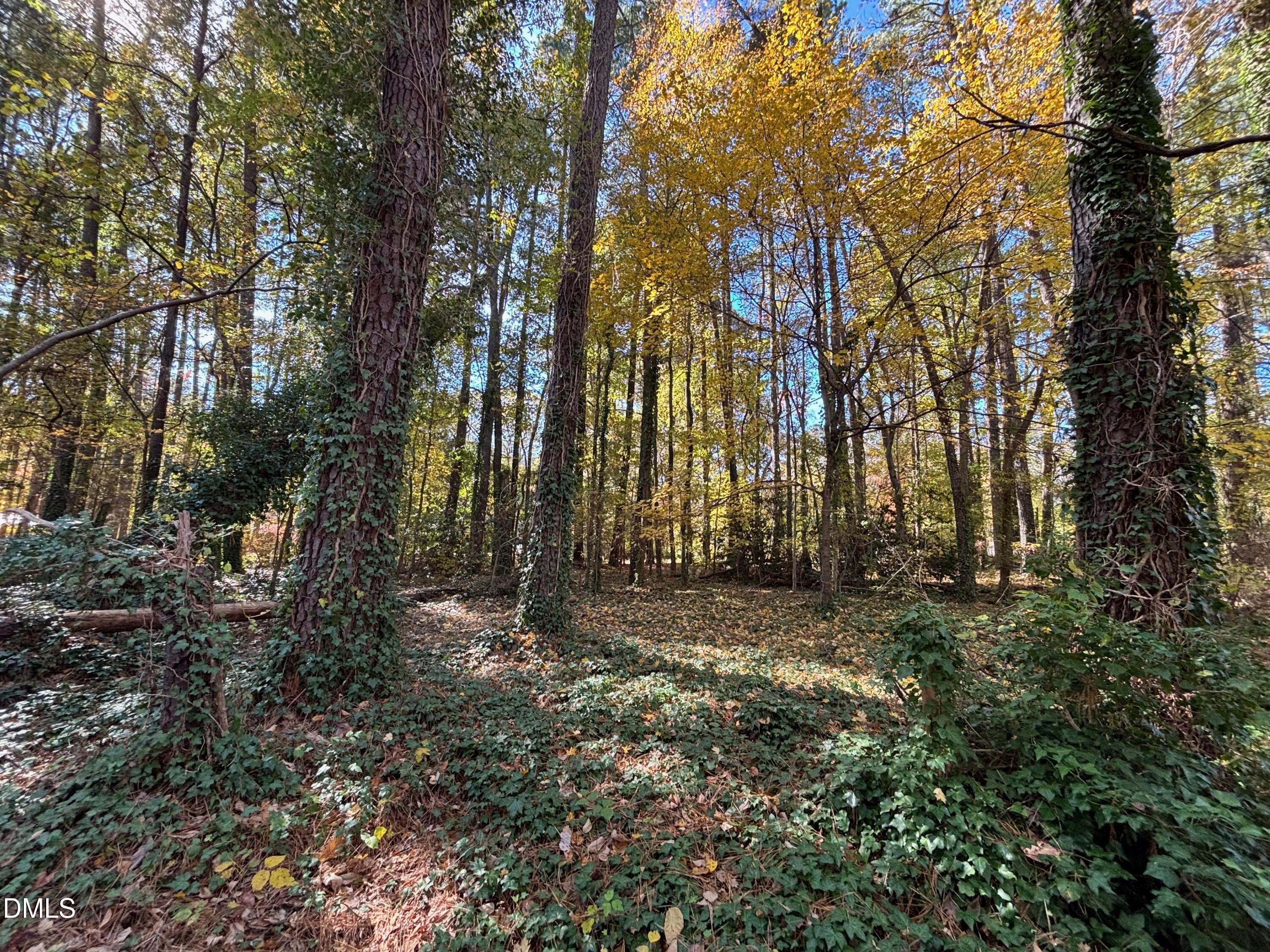 3216 Duke Homestead Road