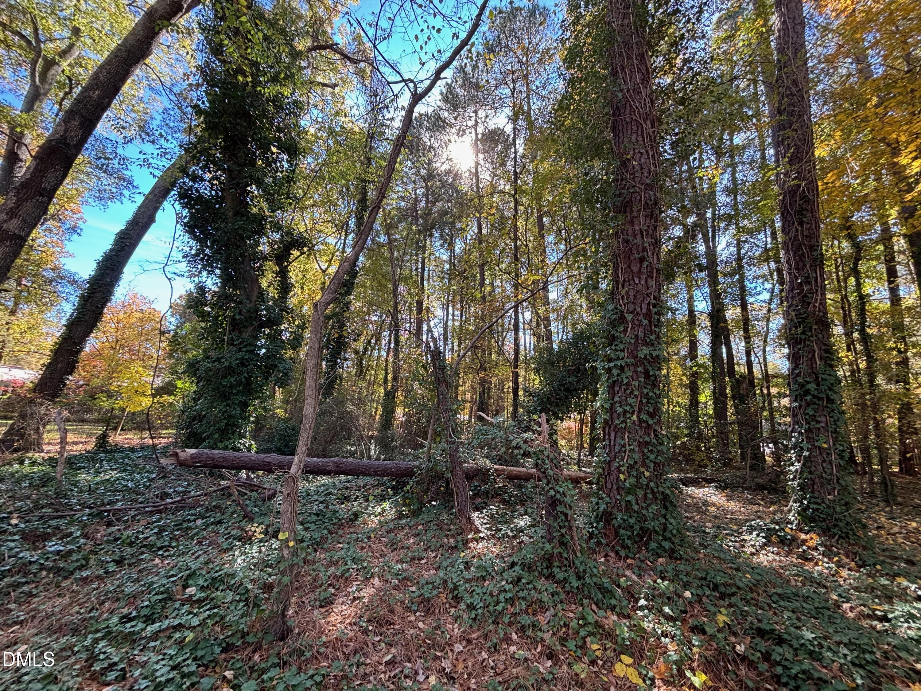 3216 Duke Homestead Road
