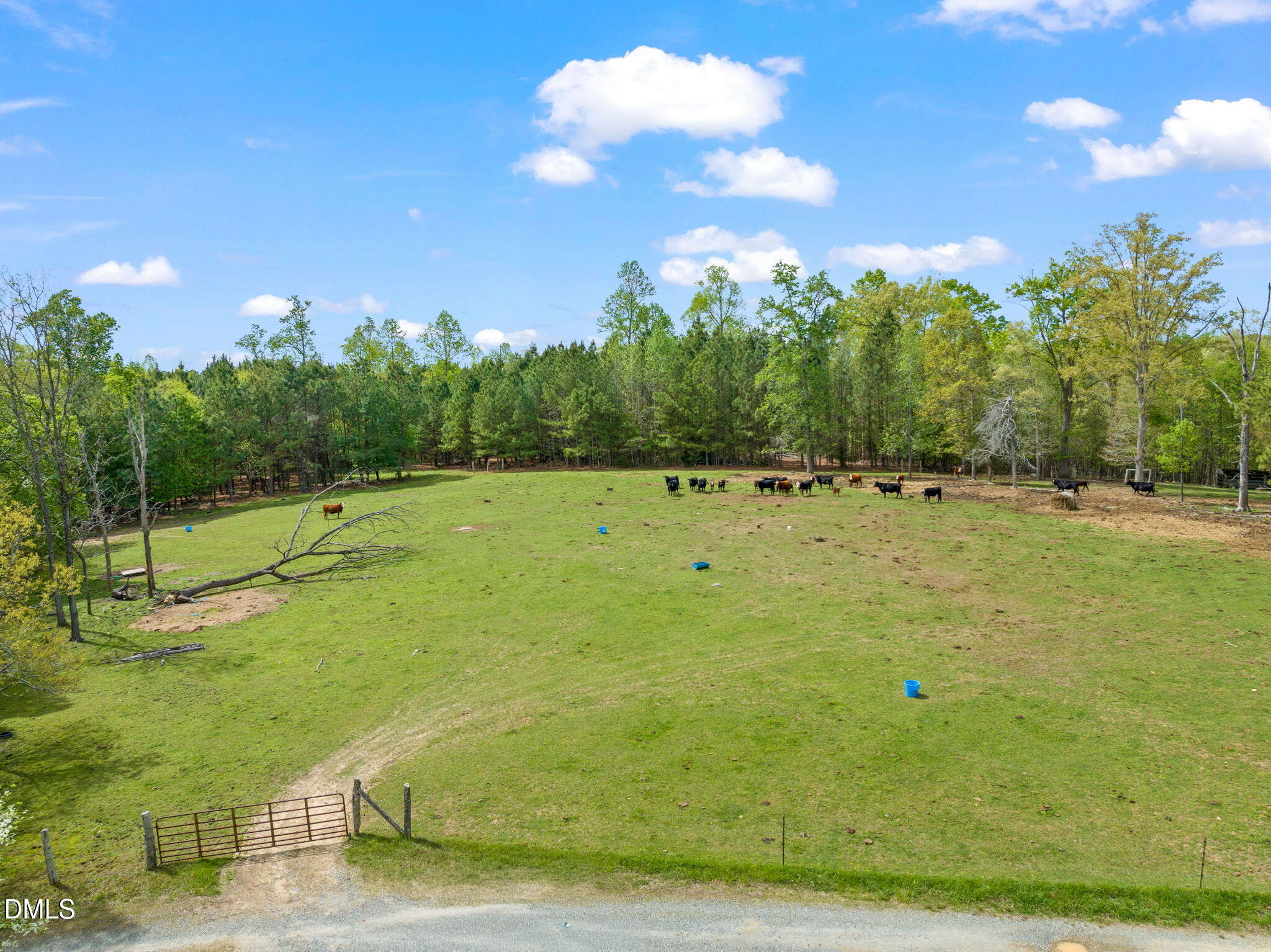 3720 Martin Road