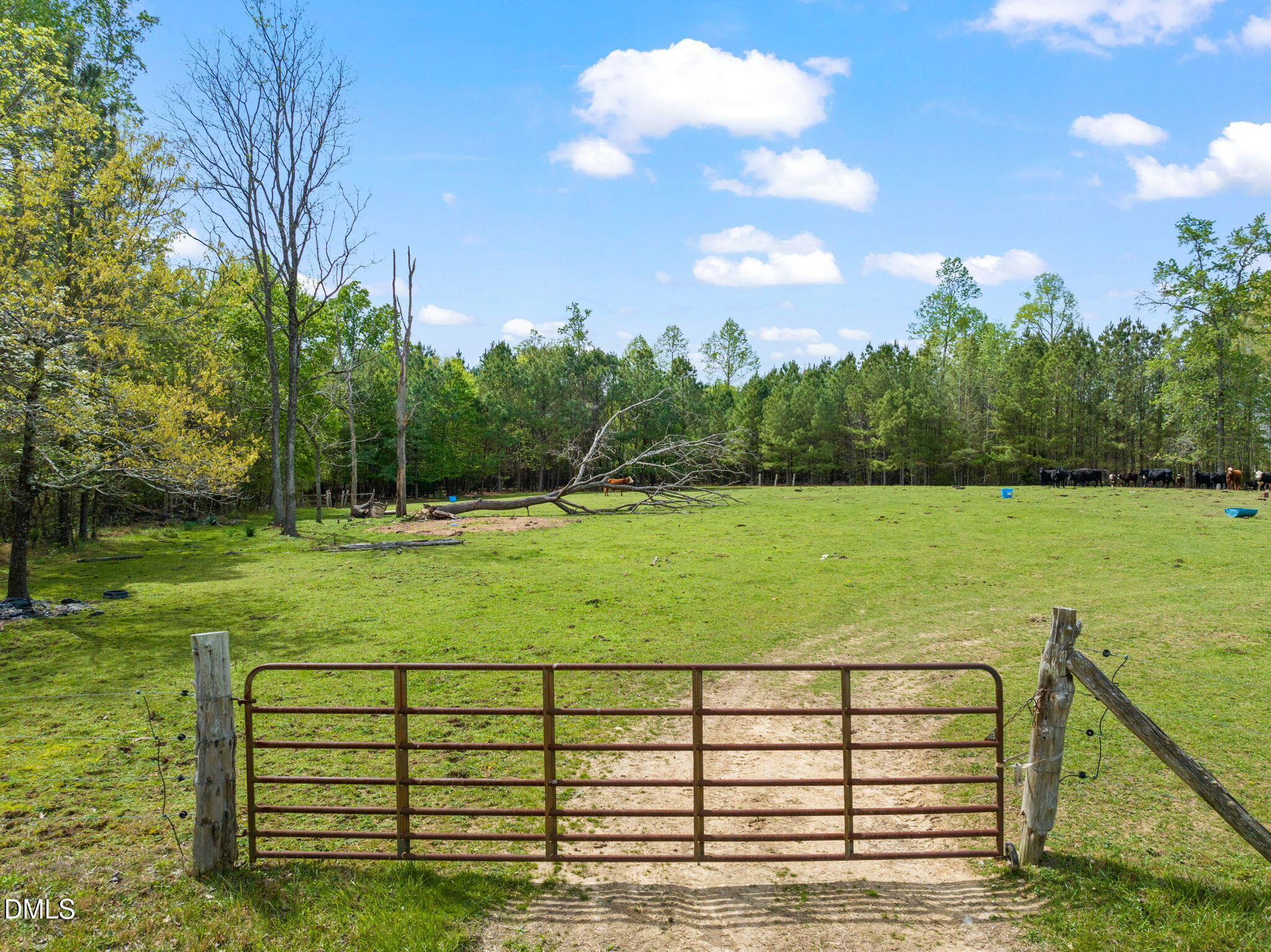 3720 Martin Road