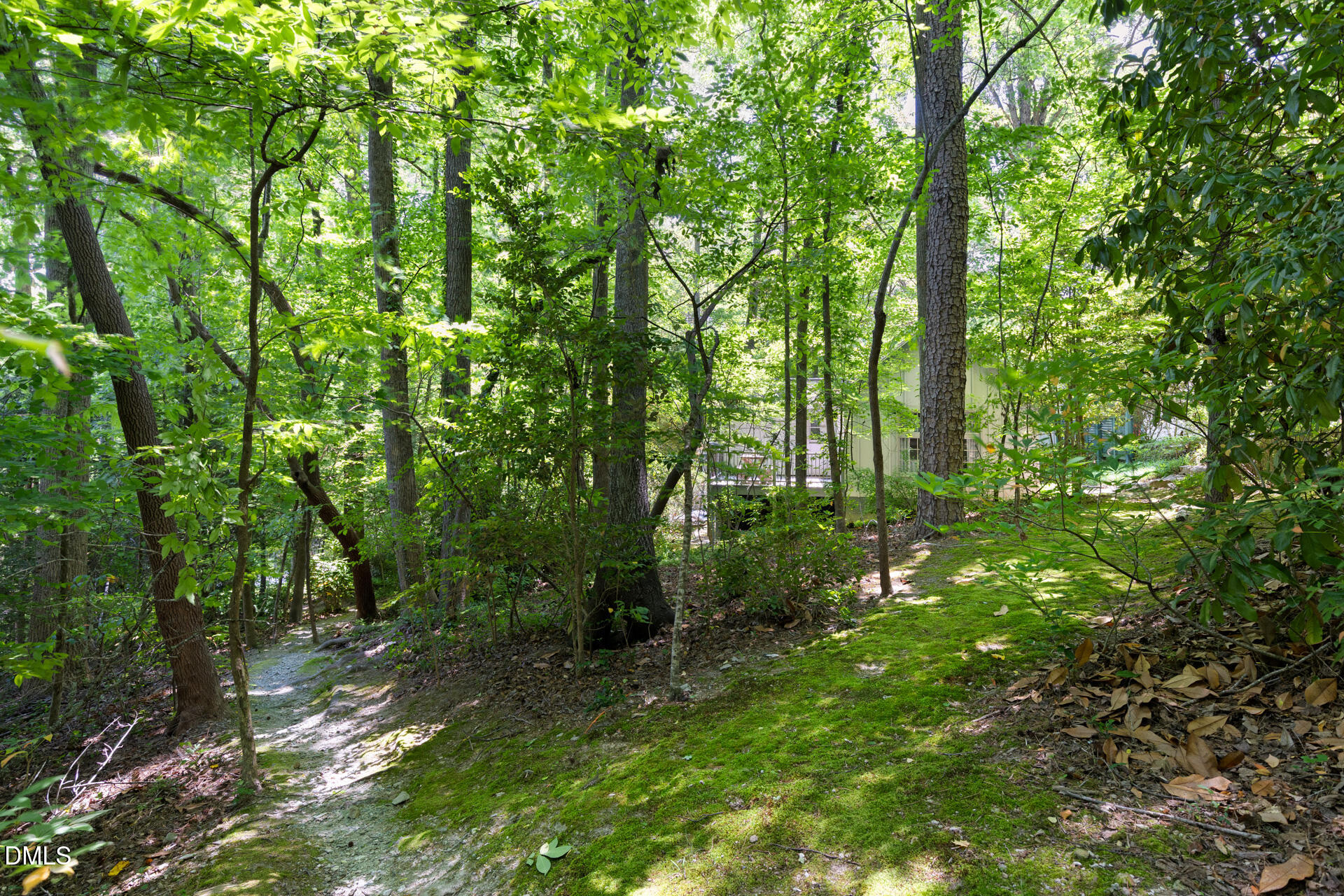 1120 Sourwood Drive