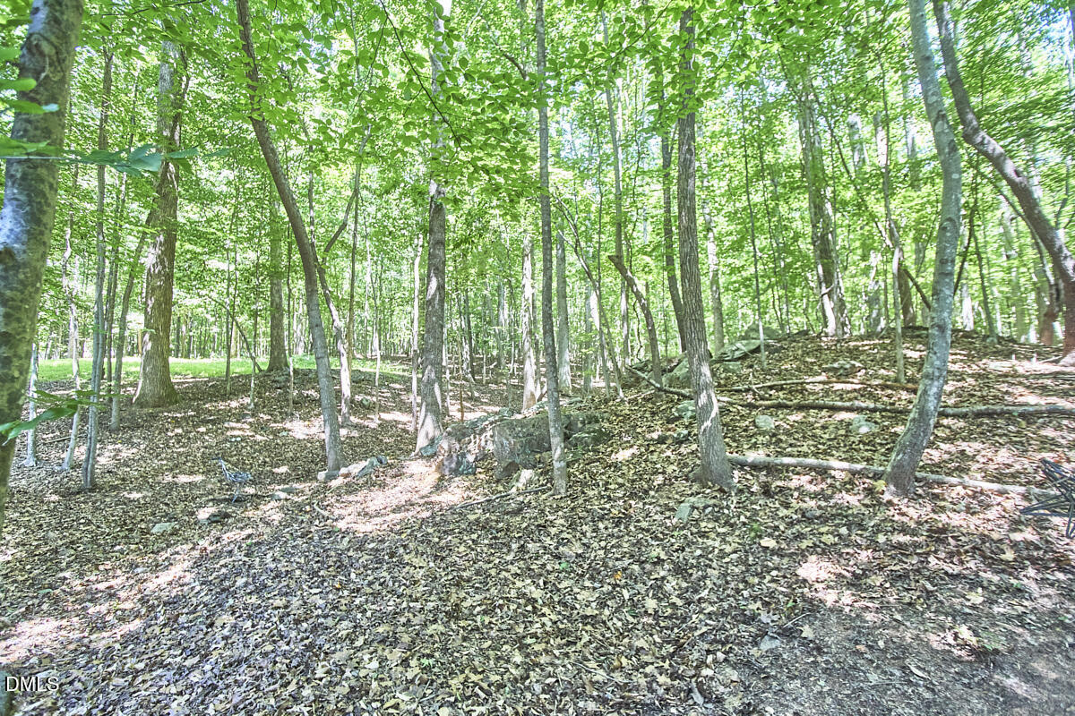 3110 Carriage Trail