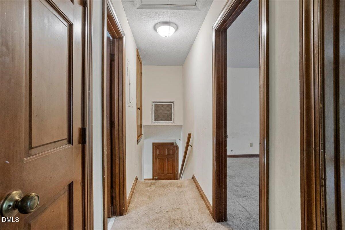 1313 Bloomingdale Drive