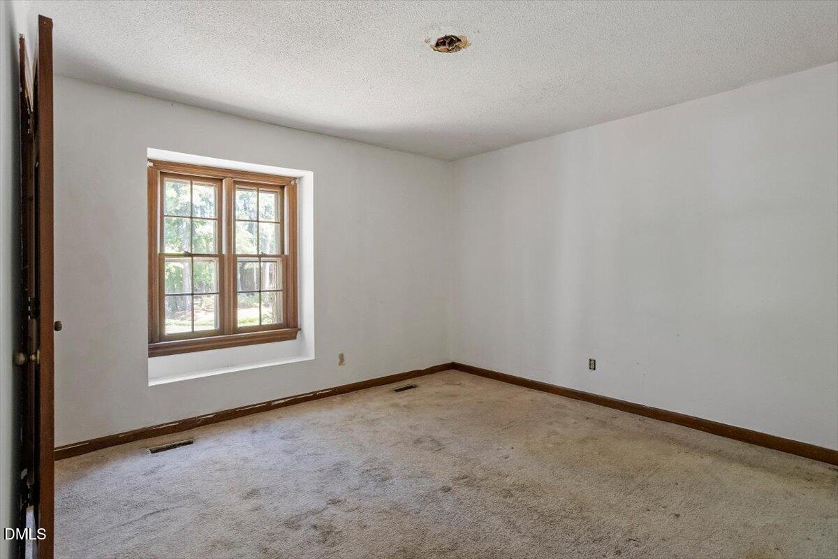 1313 Bloomingdale Drive