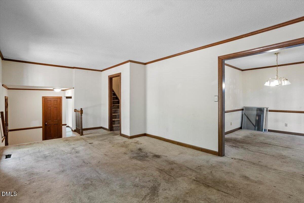 1313 Bloomingdale Drive