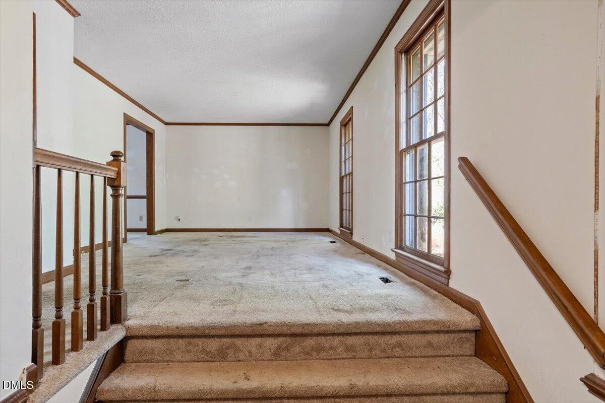 1313 Bloomingdale Drive