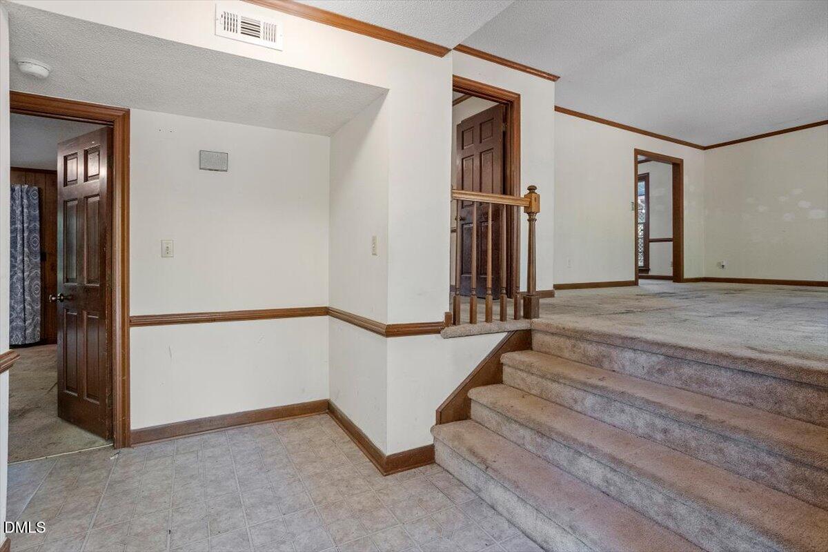1313 Bloomingdale Drive