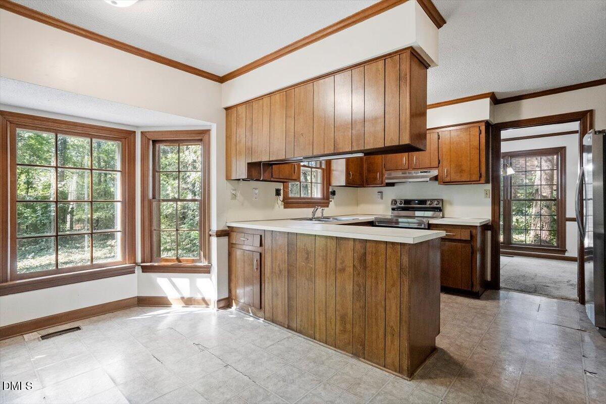 1313 Bloomingdale Drive