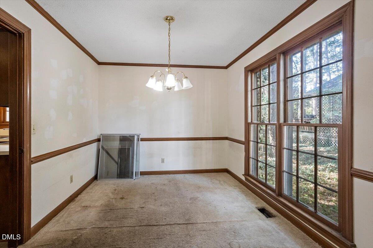 1313 Bloomingdale Drive
