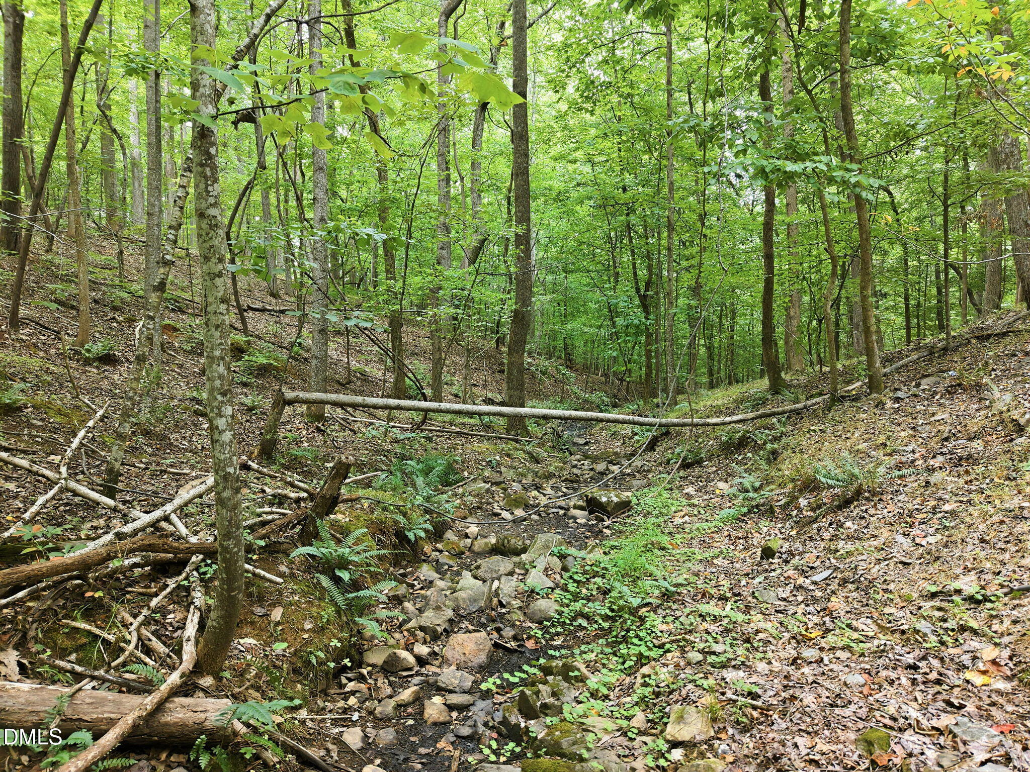 1056 Beaver Dam Road